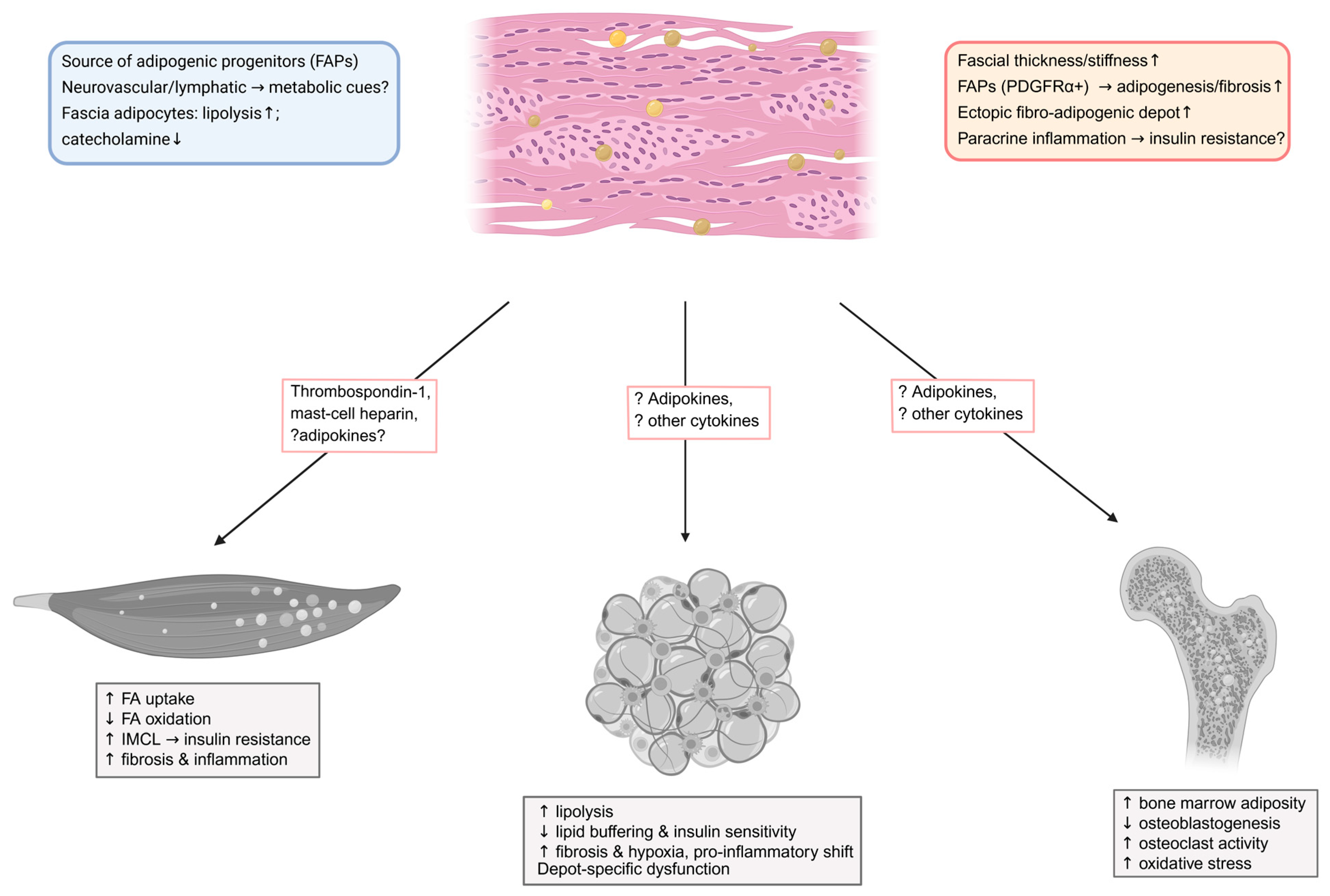 Metabolites 15 00581 g004