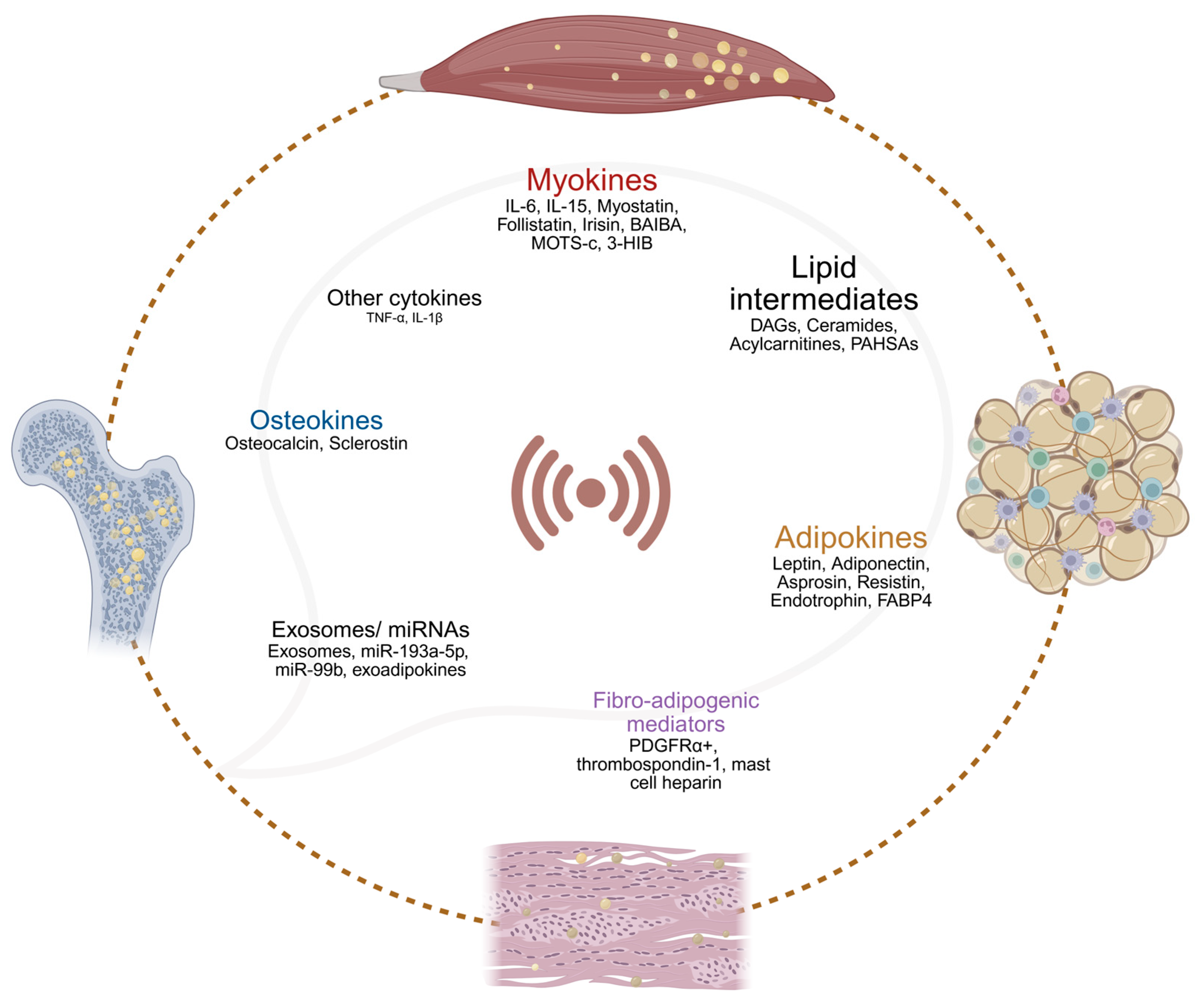 Metabolites 15 00581 g005