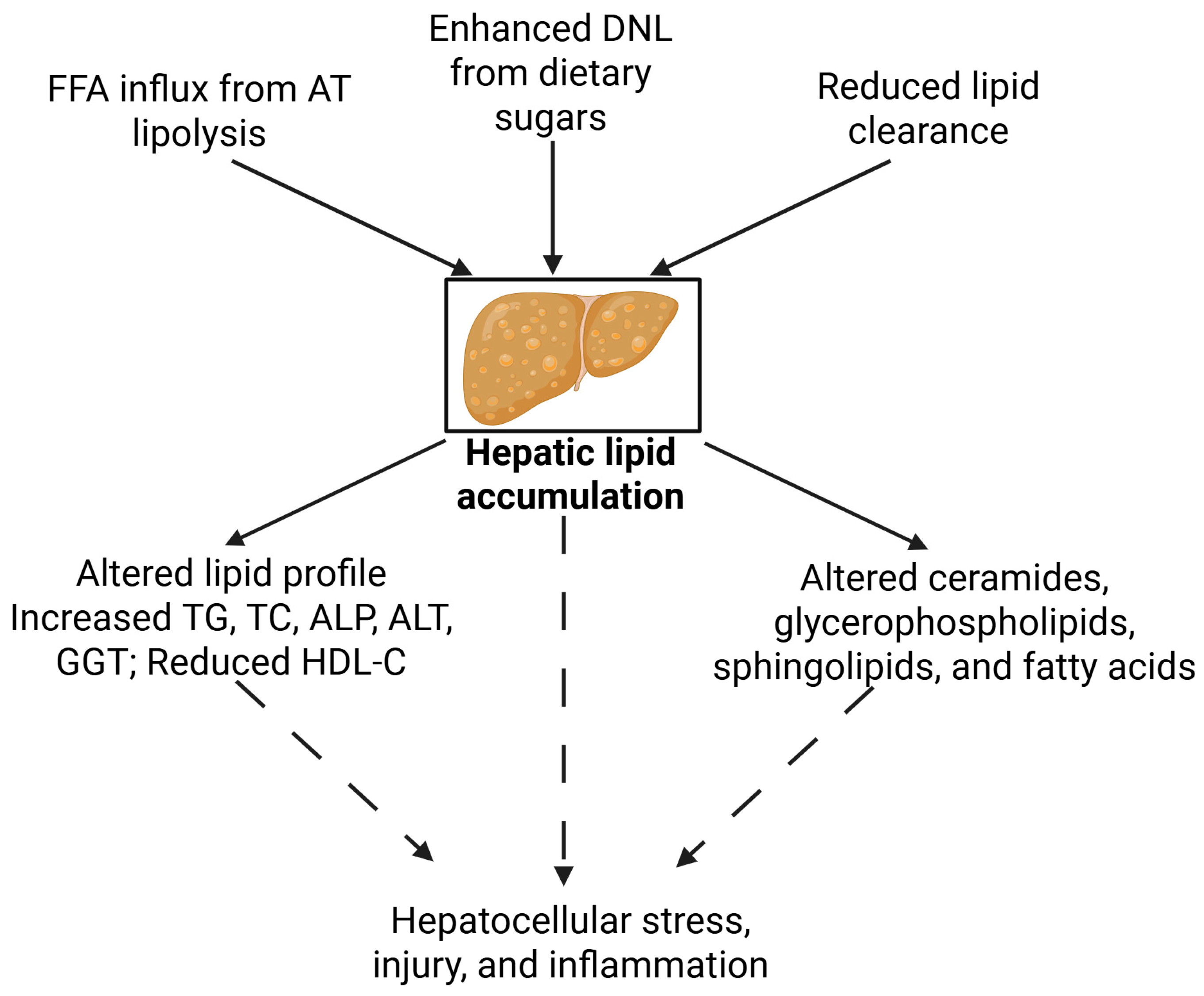 Metabolites 15 00583 g001