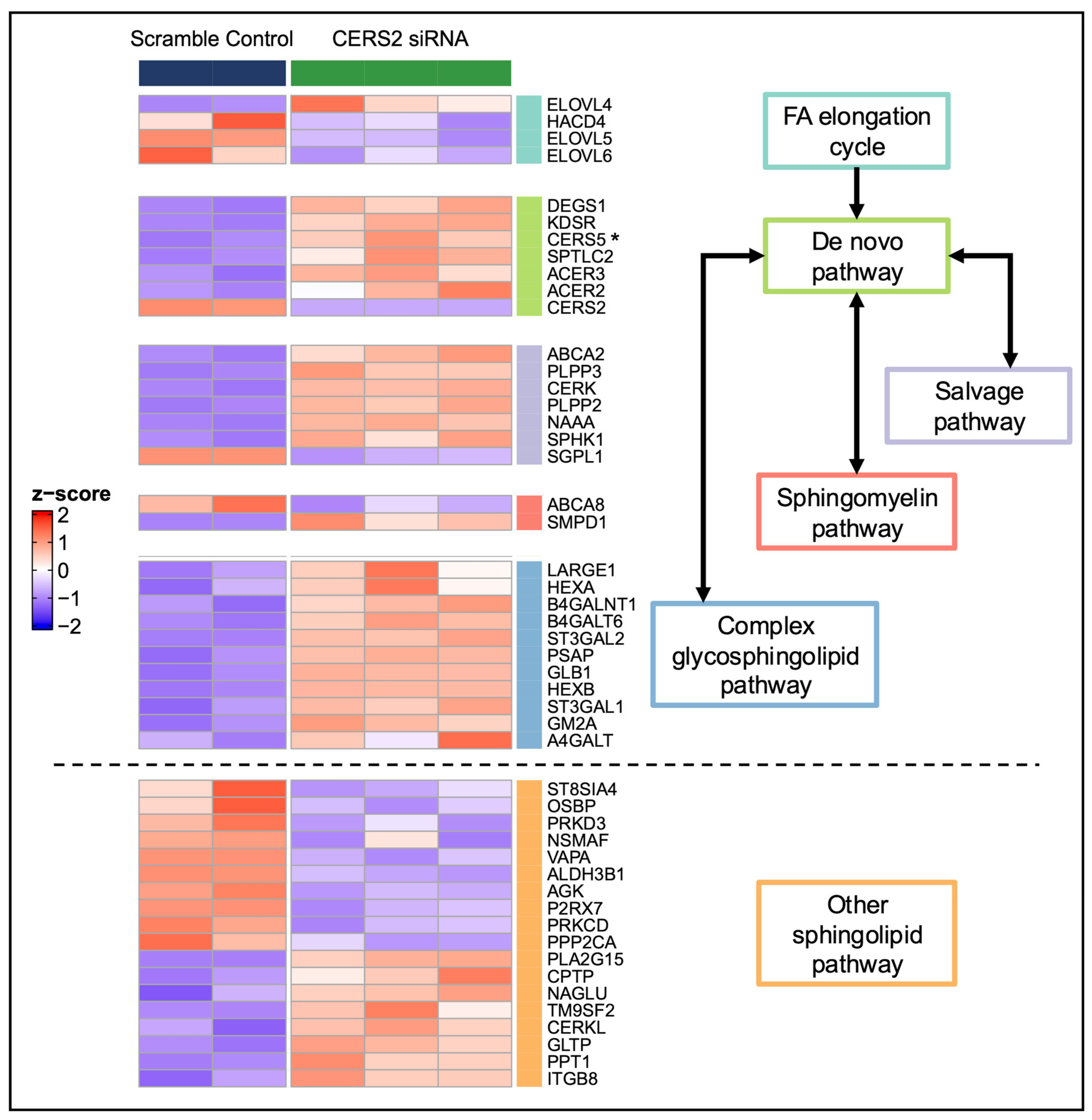 Metabolites 15 00584 g003 Metabolites 15 00584 g003