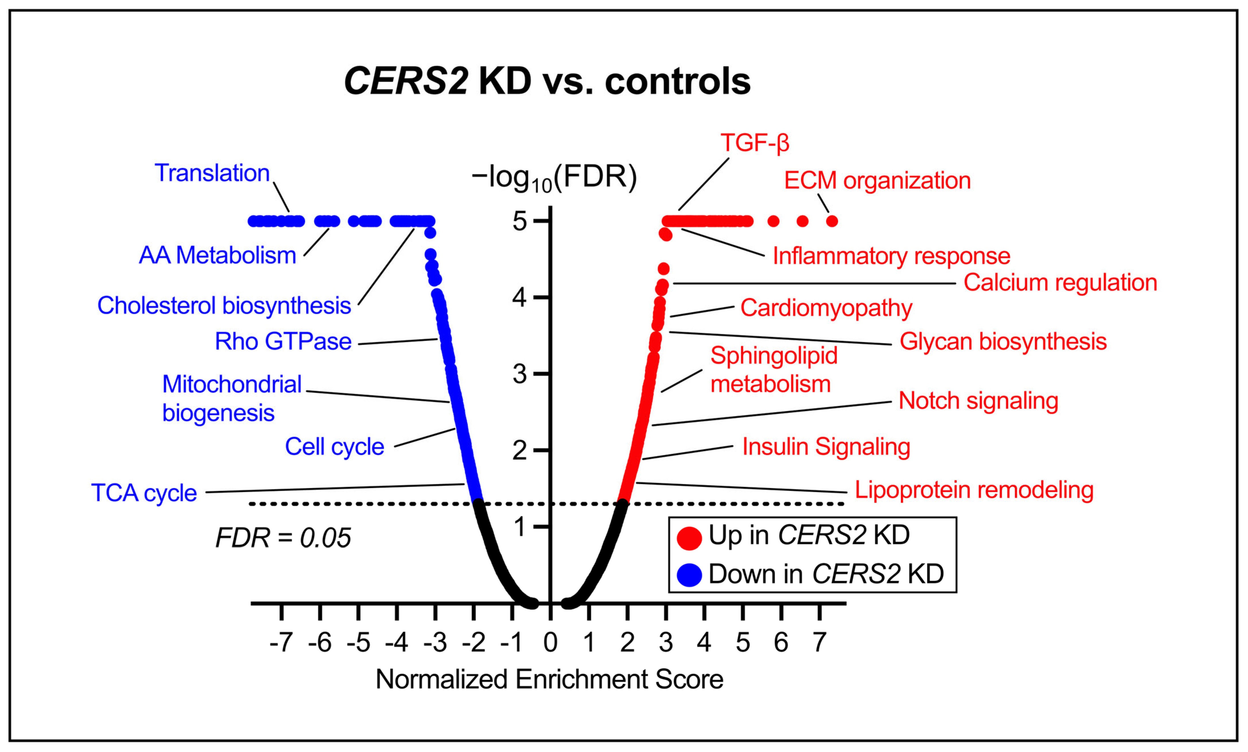 Metabolites 15 00584 g004 Metabolites 15 00584 g004
