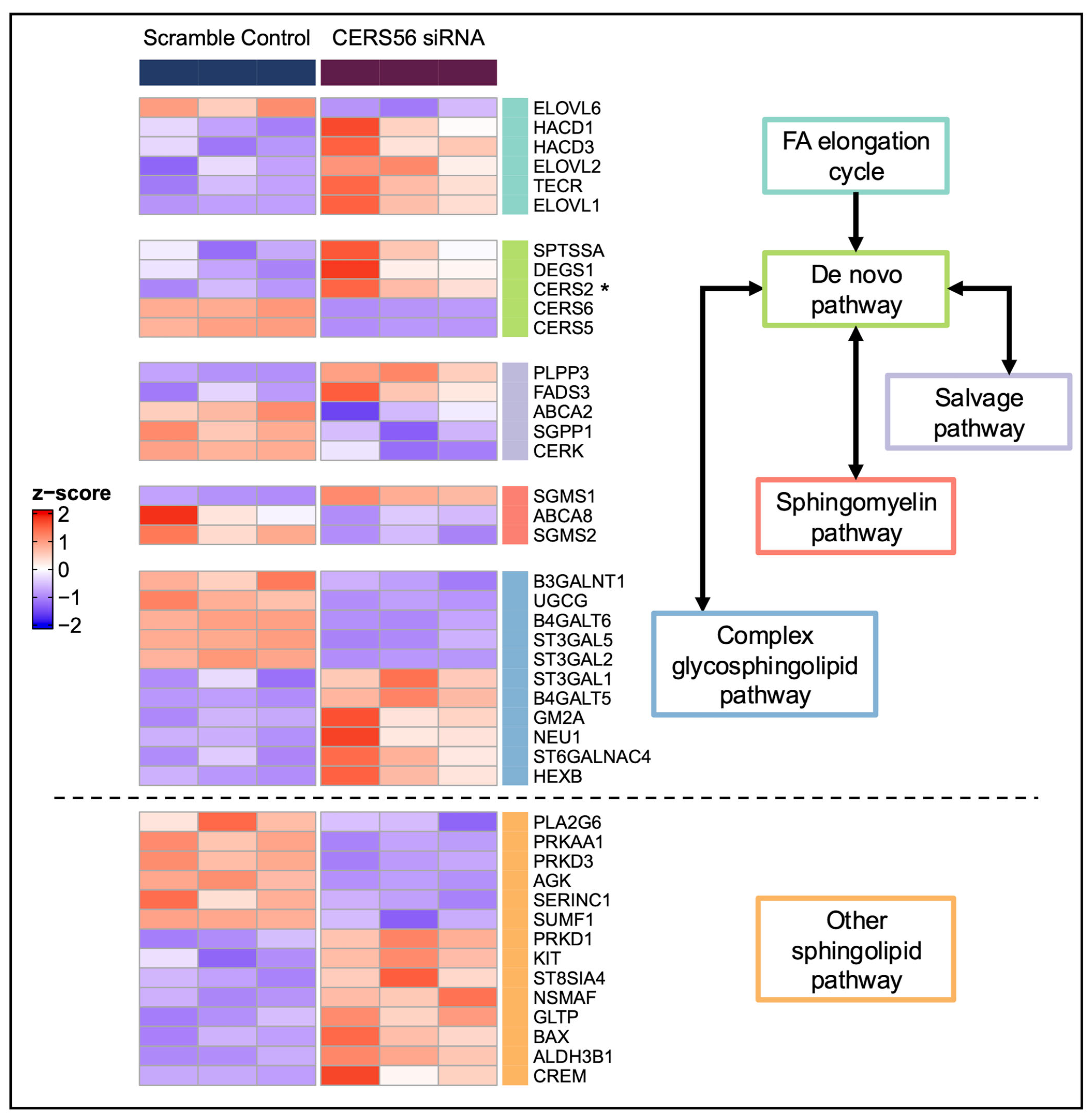 Metabolites 15 00584 g006 Metabolites 15 00584 g006