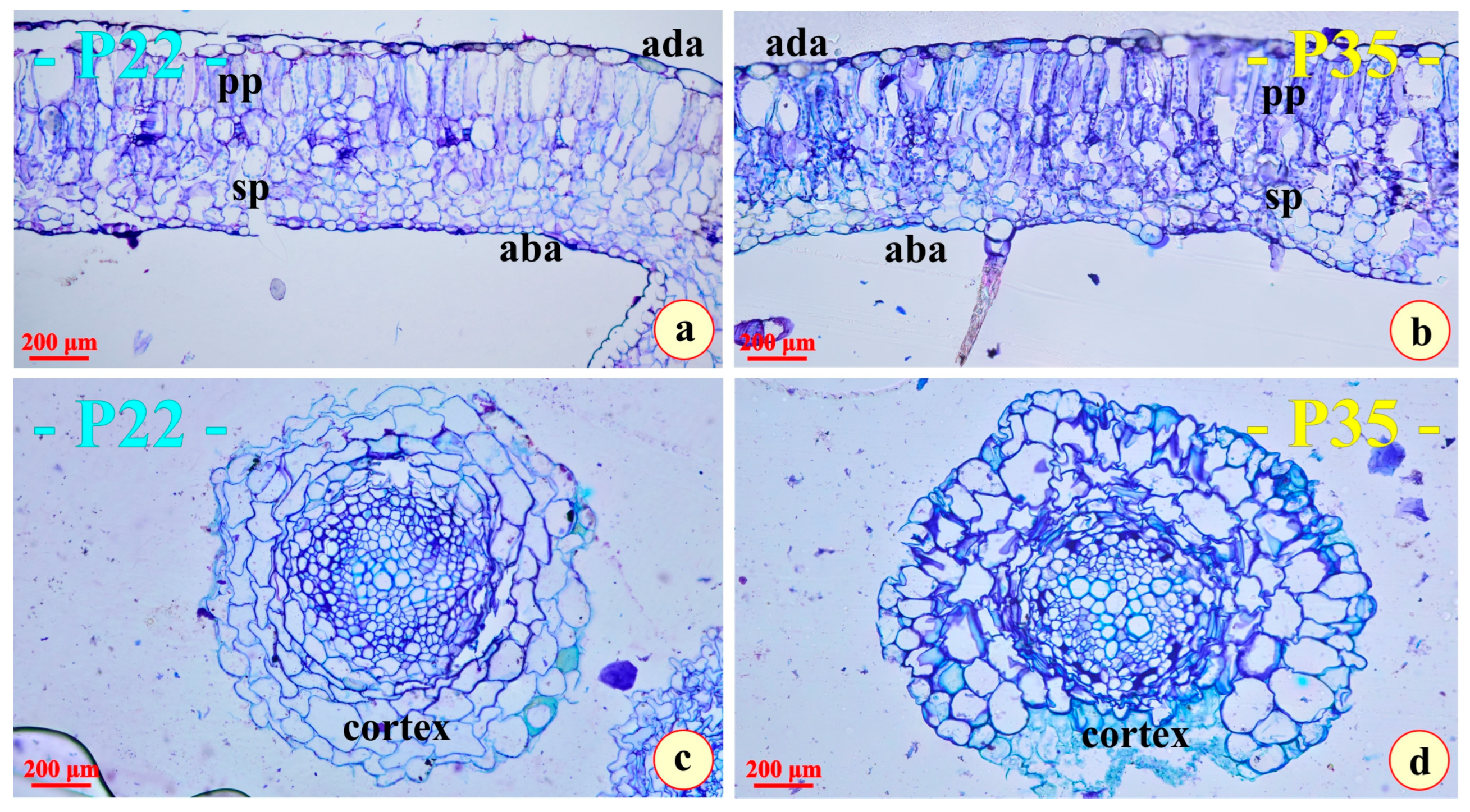 Metabolites 15 00585 g002