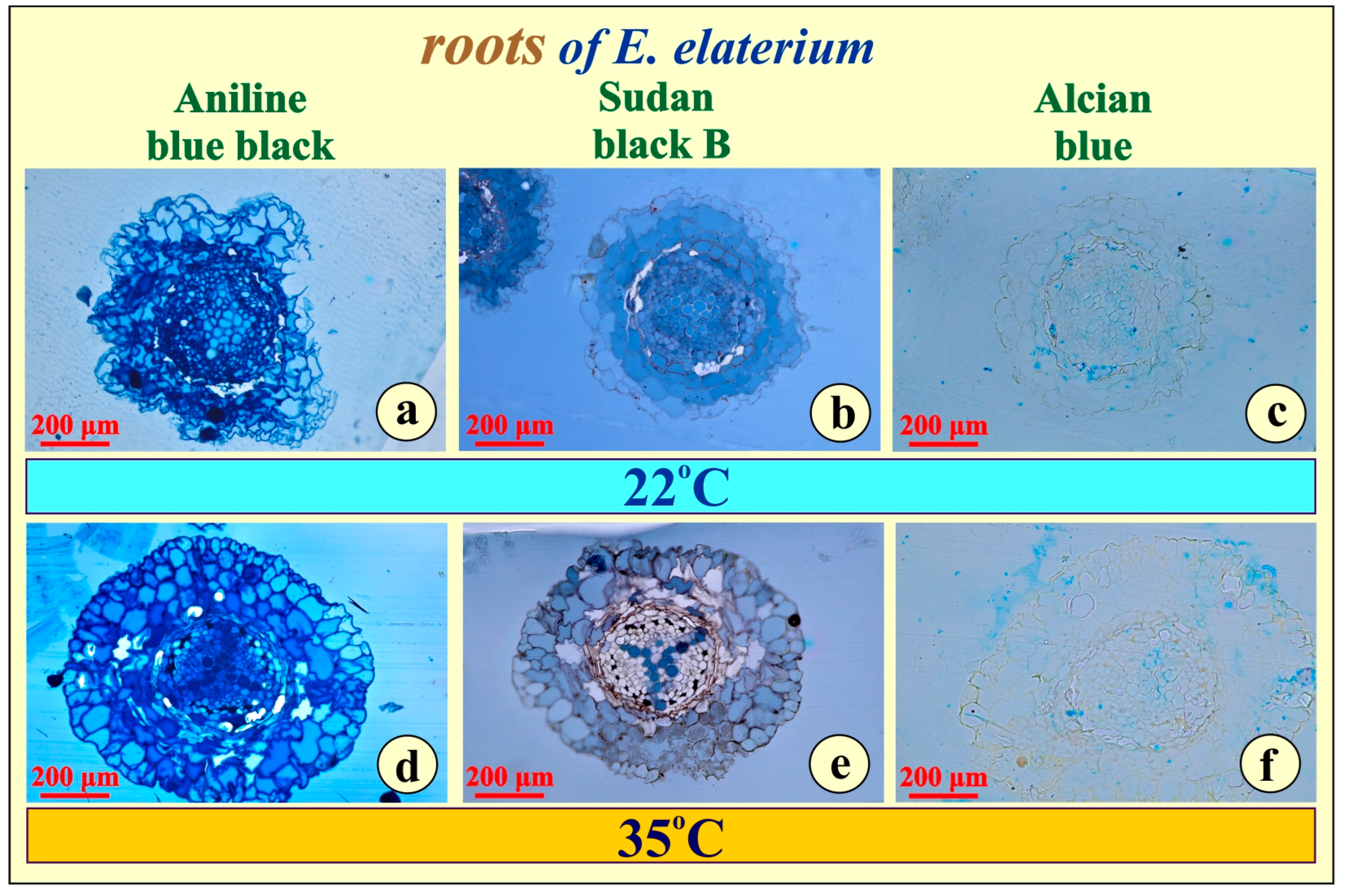 Metabolites 15 00585 g004