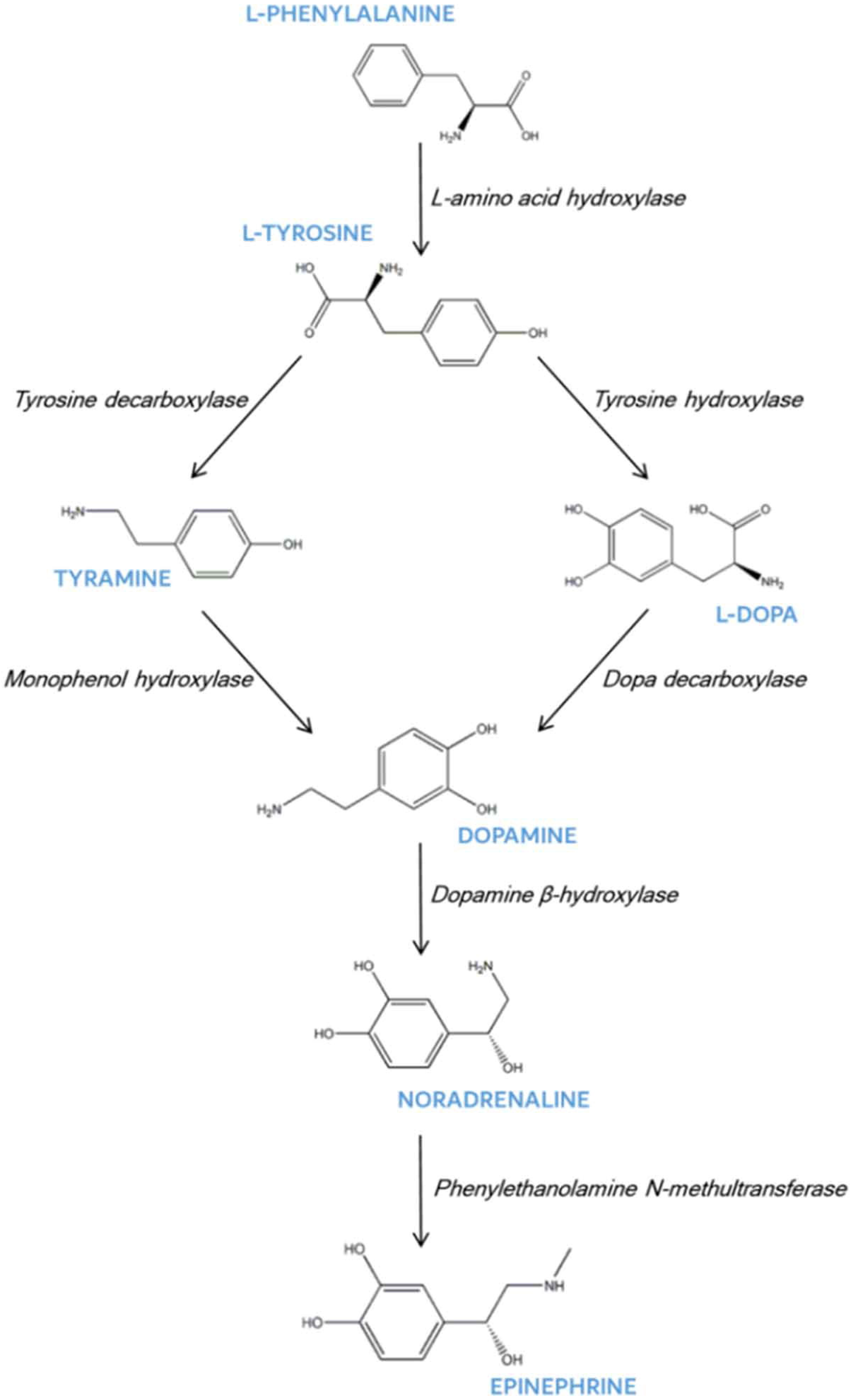 Metabolites 15 00586 g001