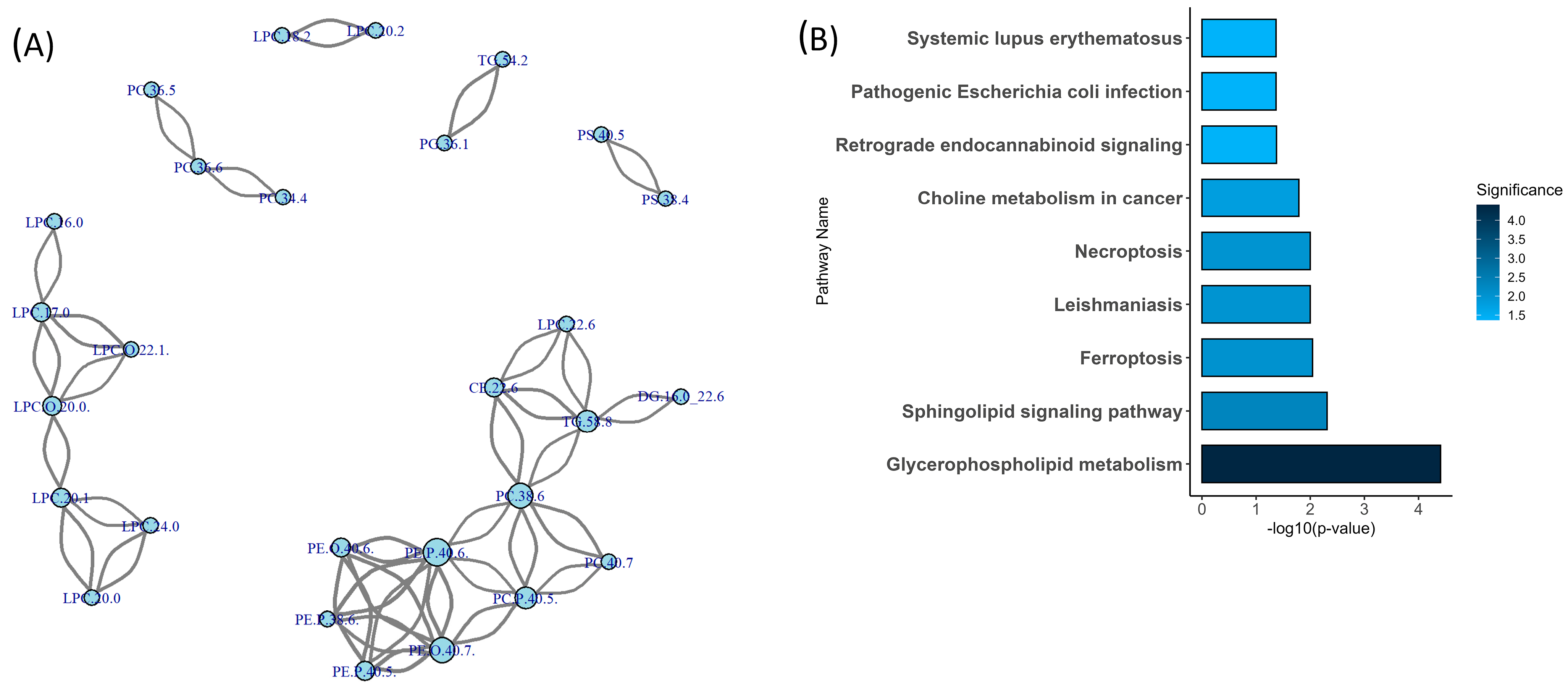 Metabolites 15 00592 g002