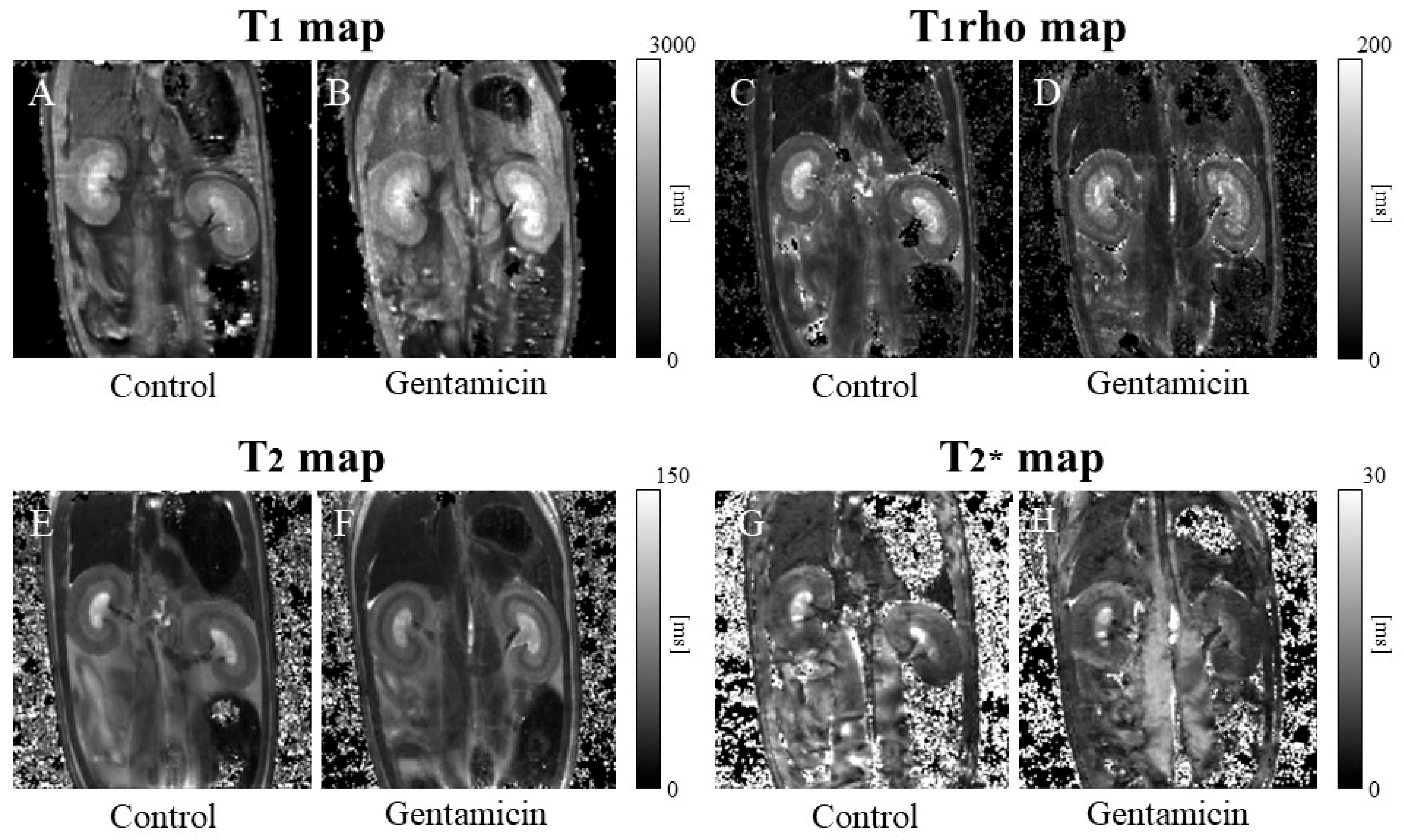 Metabolites 15 00593 g003