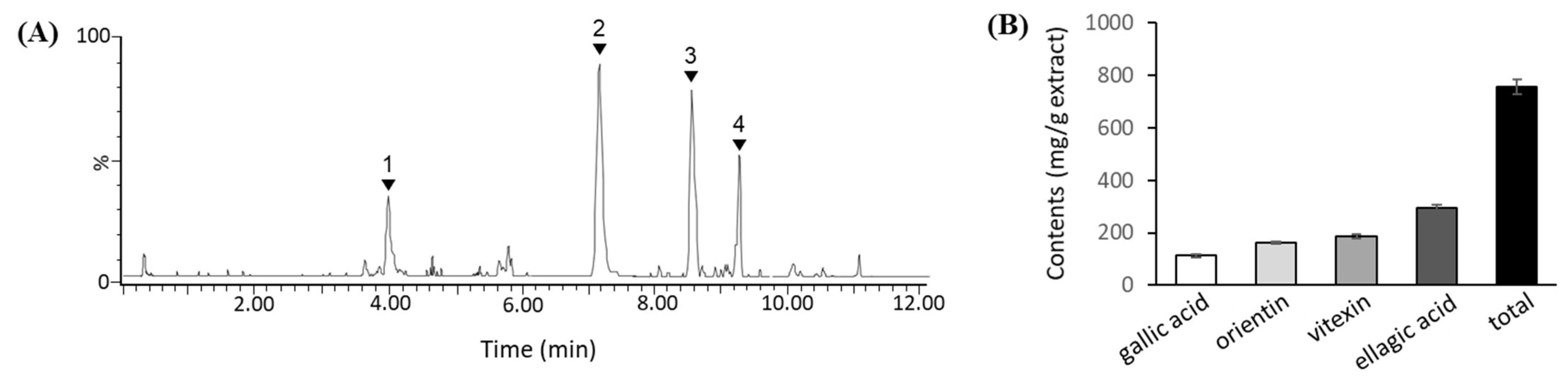 Metabolites 15 00594 g001