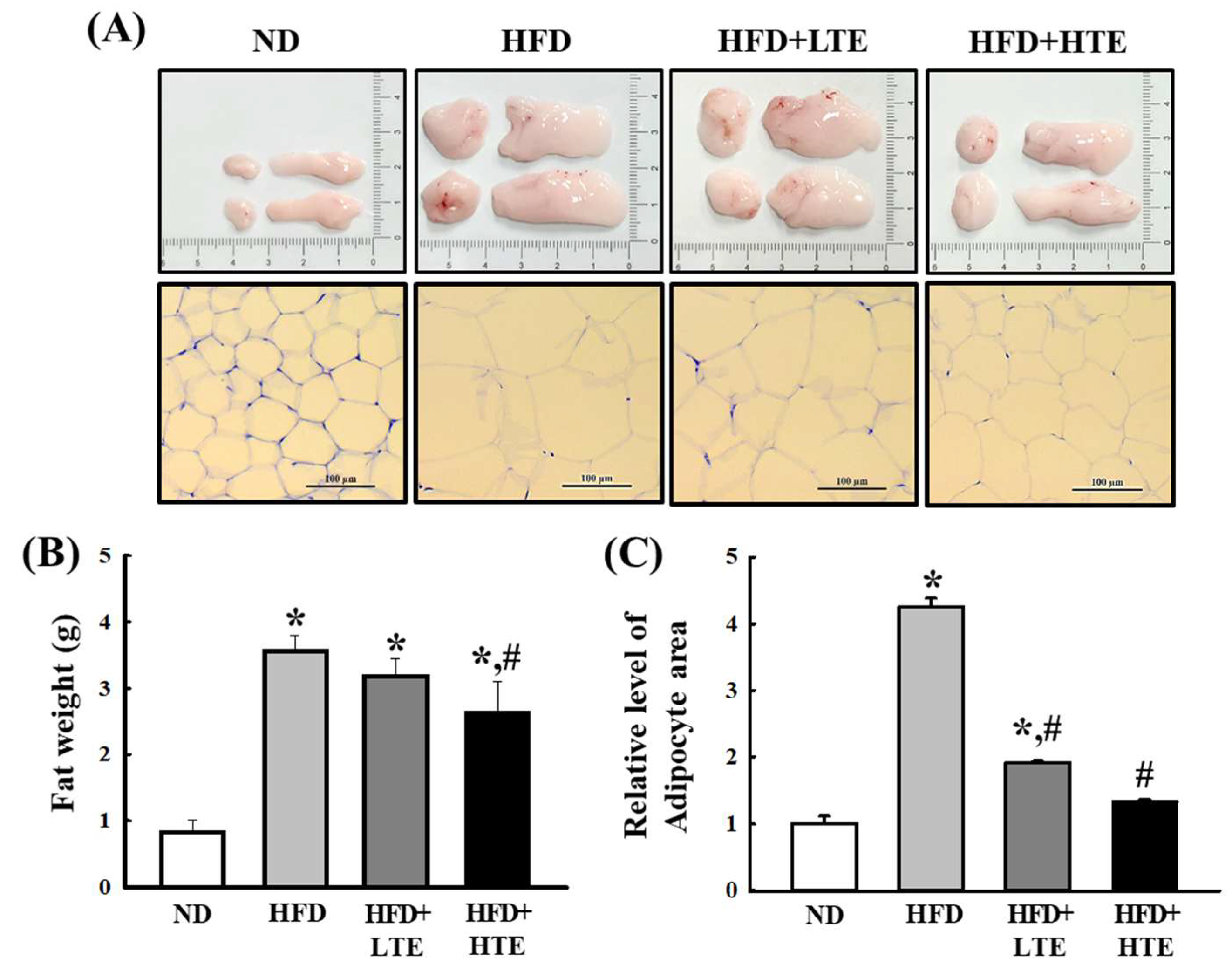 Metabolites 15 00594 g004