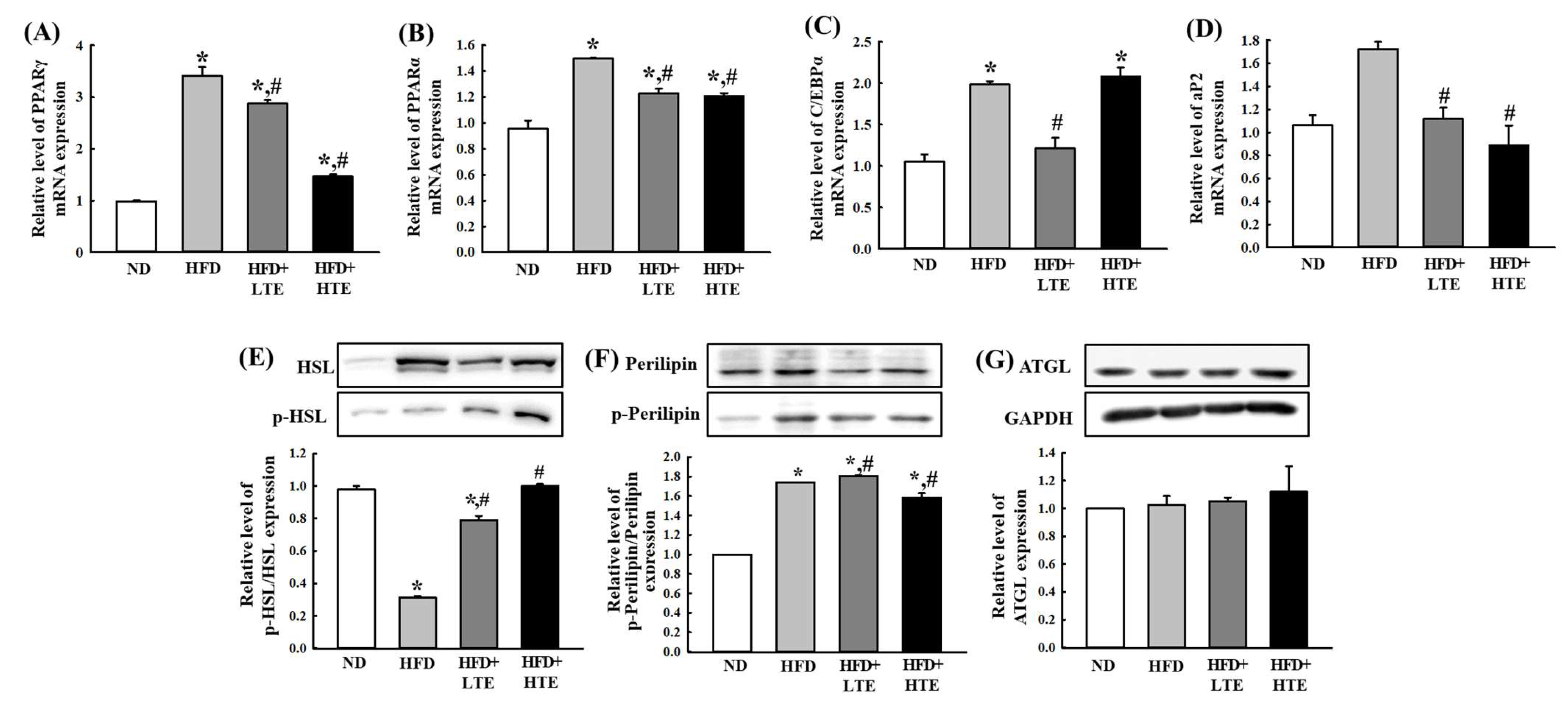 Metabolites 15 00594 g006
