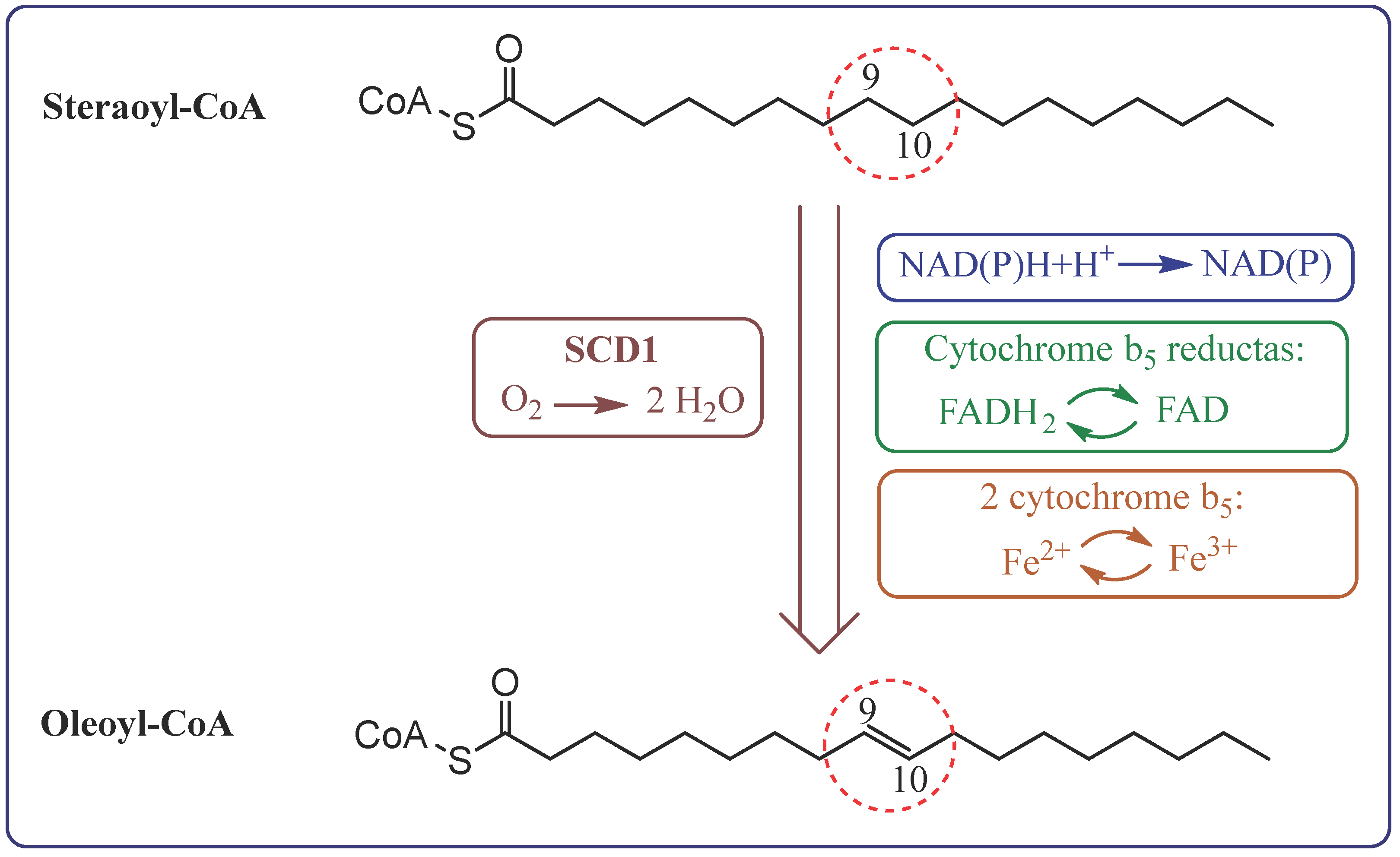 Metabolites 15 00595 g002
