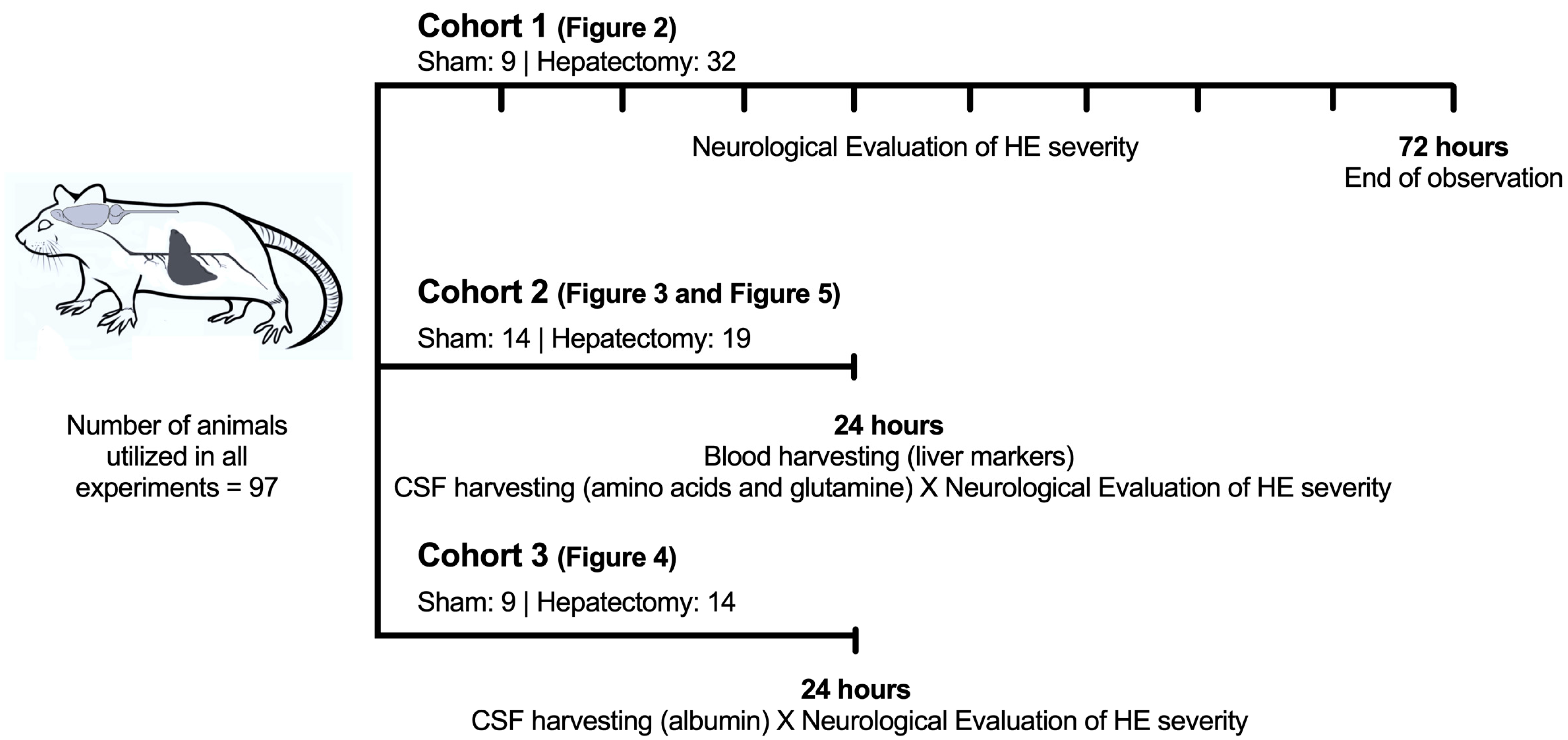 Metabolites 15 00598 g001