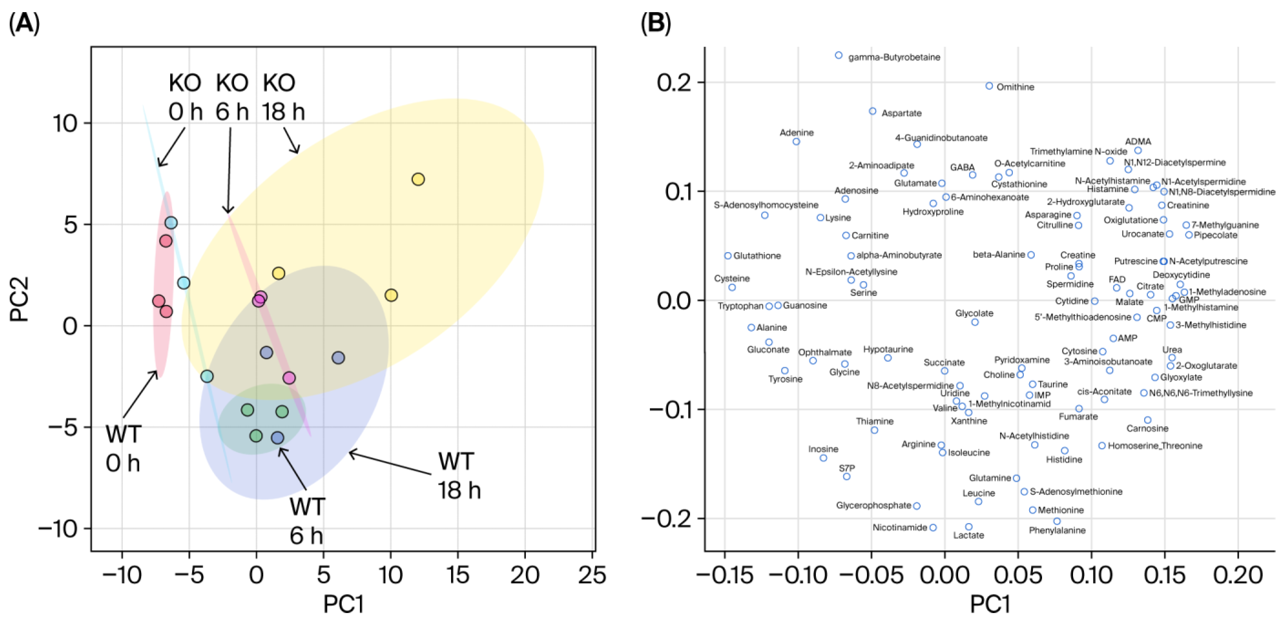 Metabolites 15 00600 g002