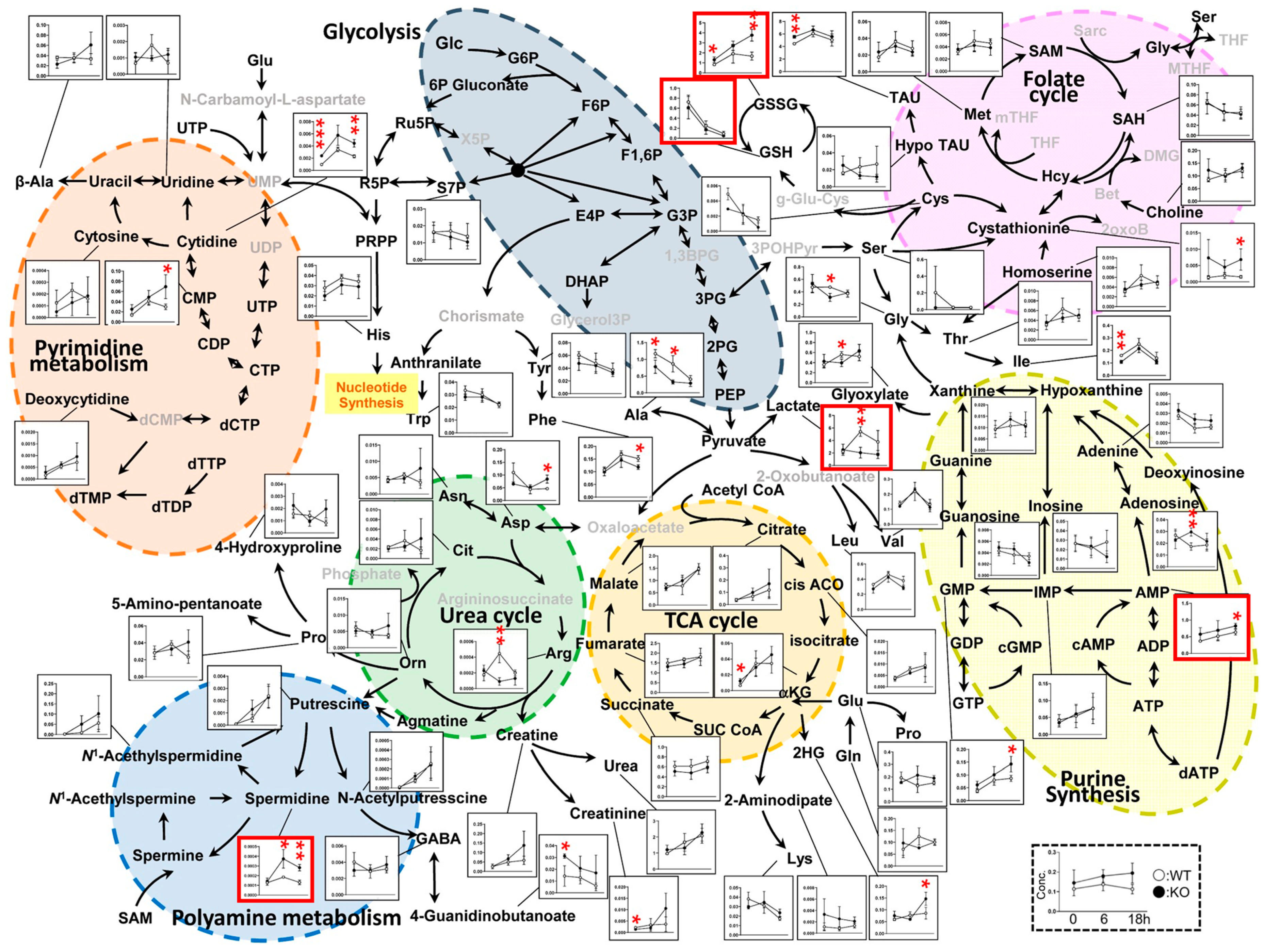 Metabolites 15 00600 g004