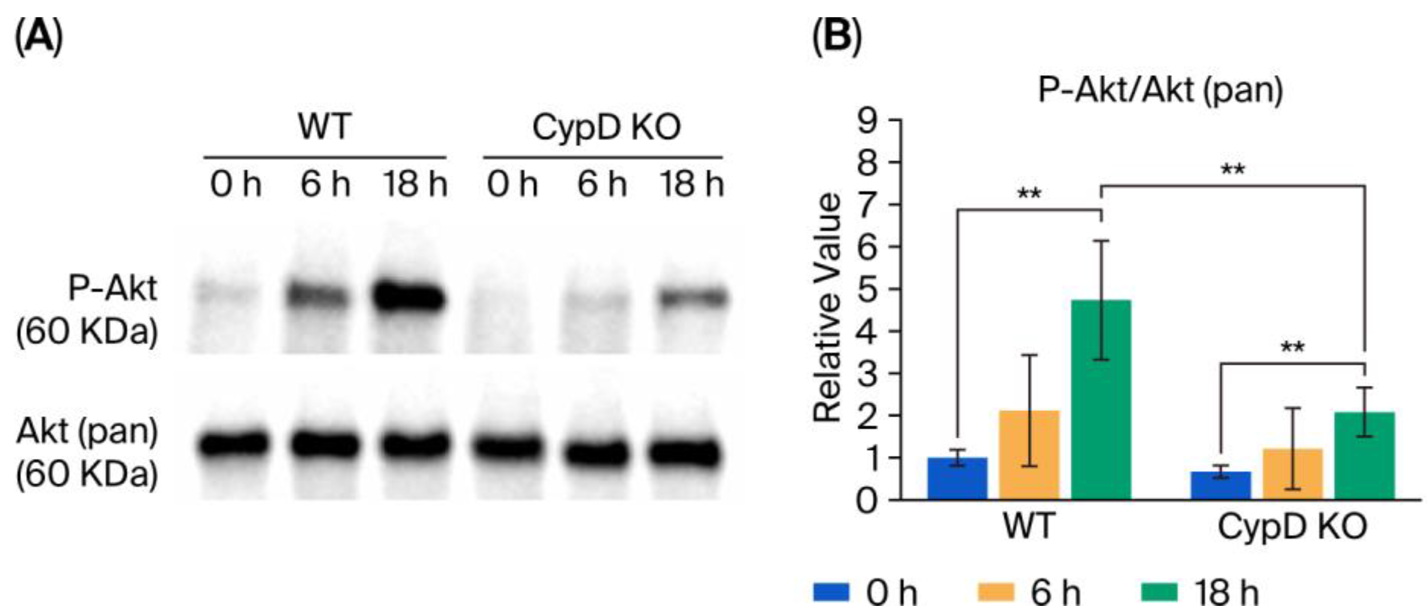 Metabolites 15 00600 g007