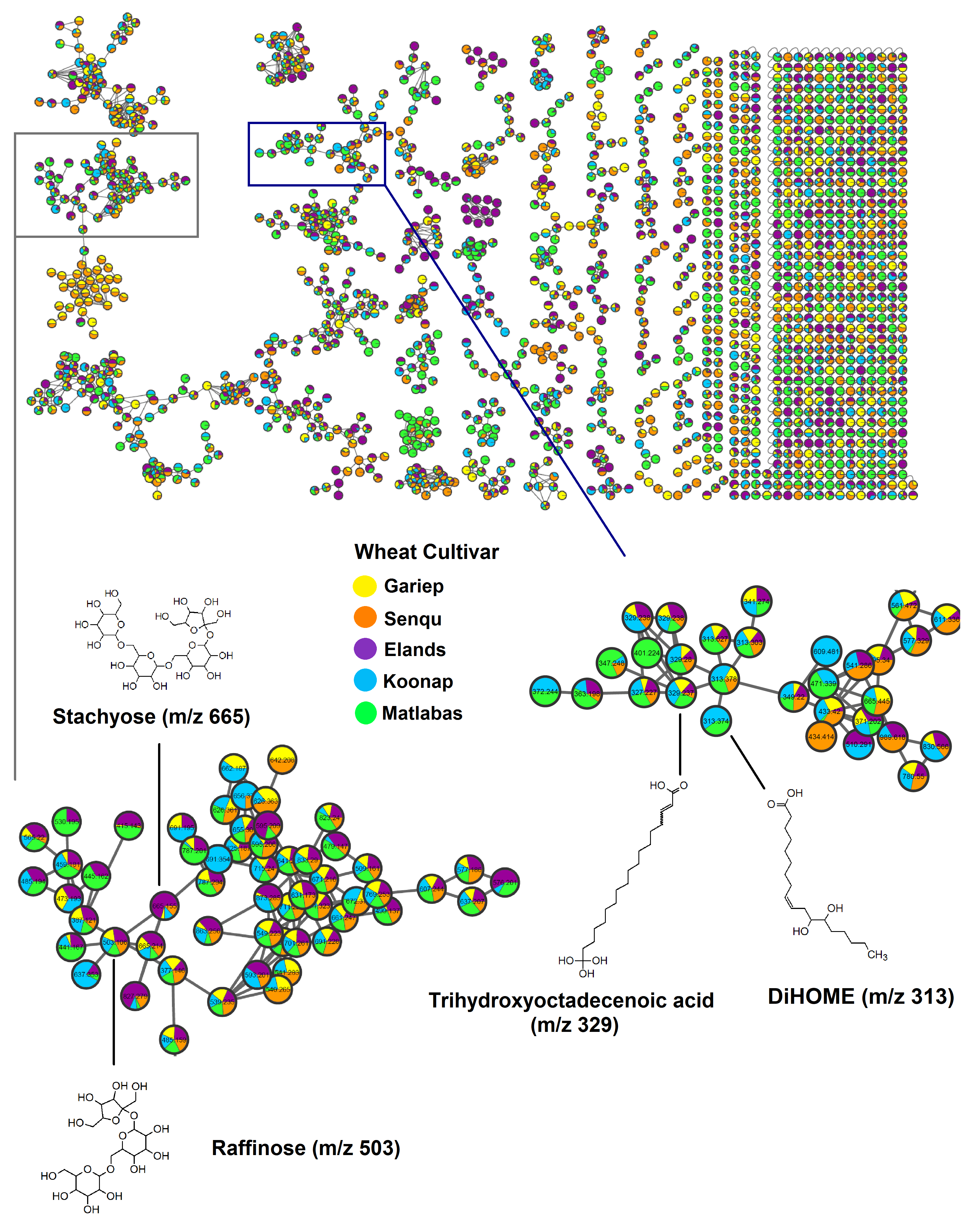 Metabolites 15 00603 g002