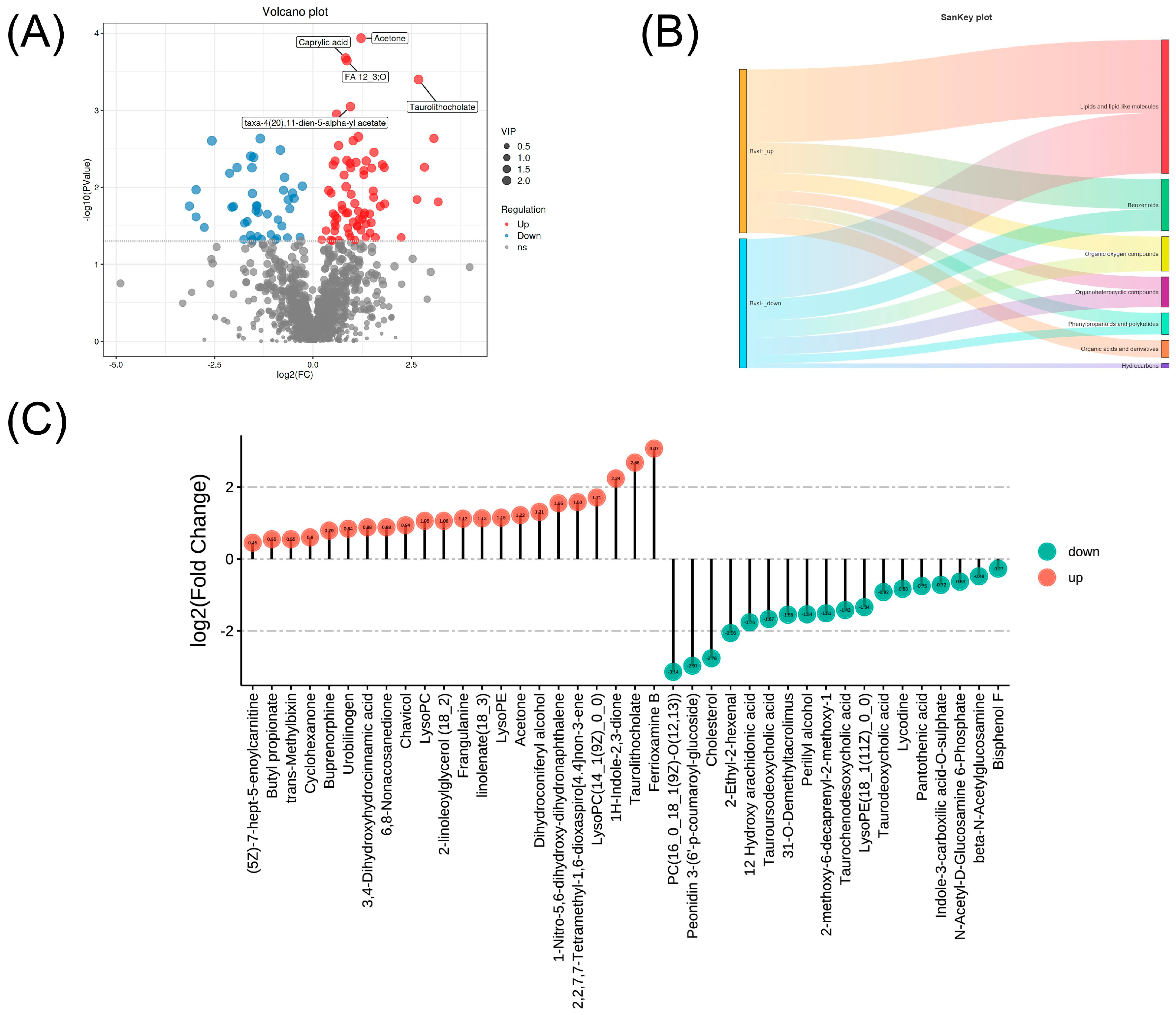 Metabolites 15 00609 g005 Metabolites 15 00609 g005