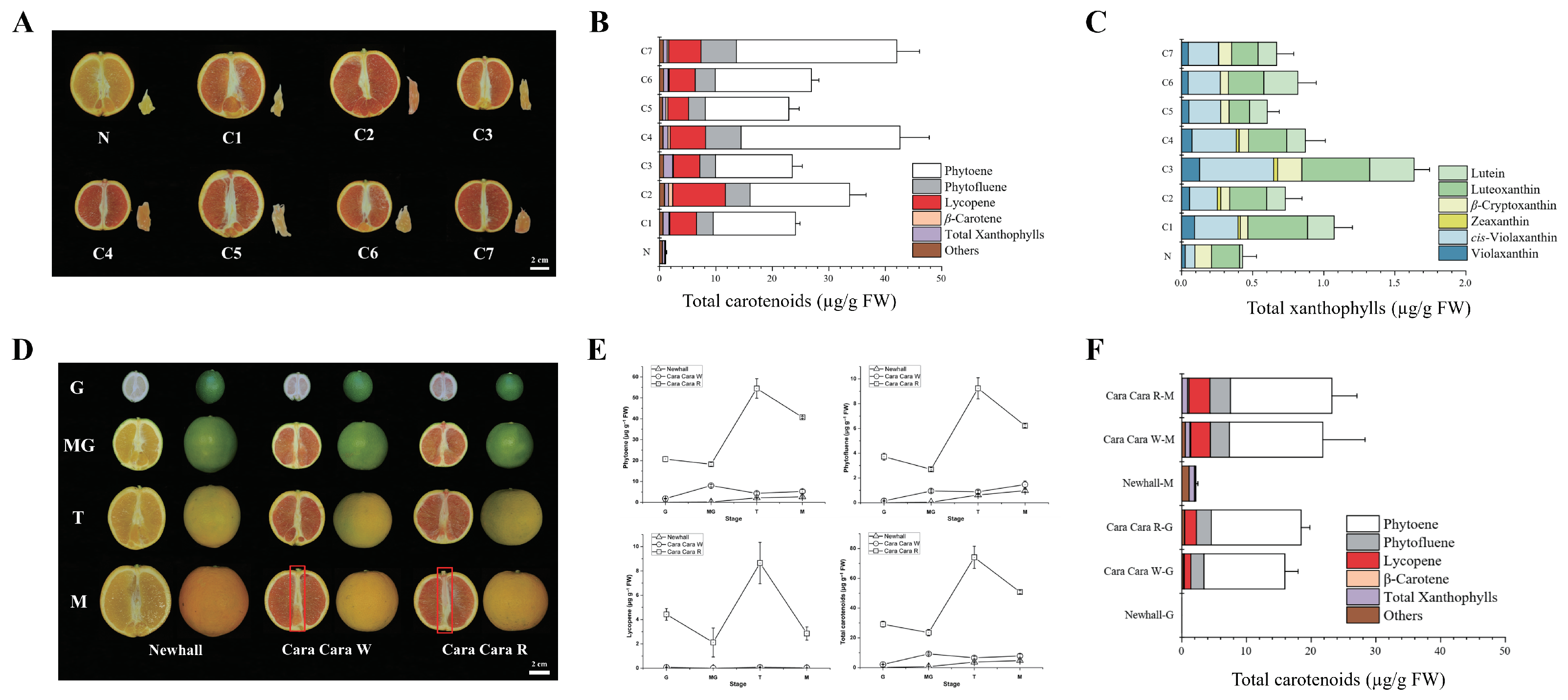 Metabolites 15 00610 g003 Metabolites 15 00610 g003