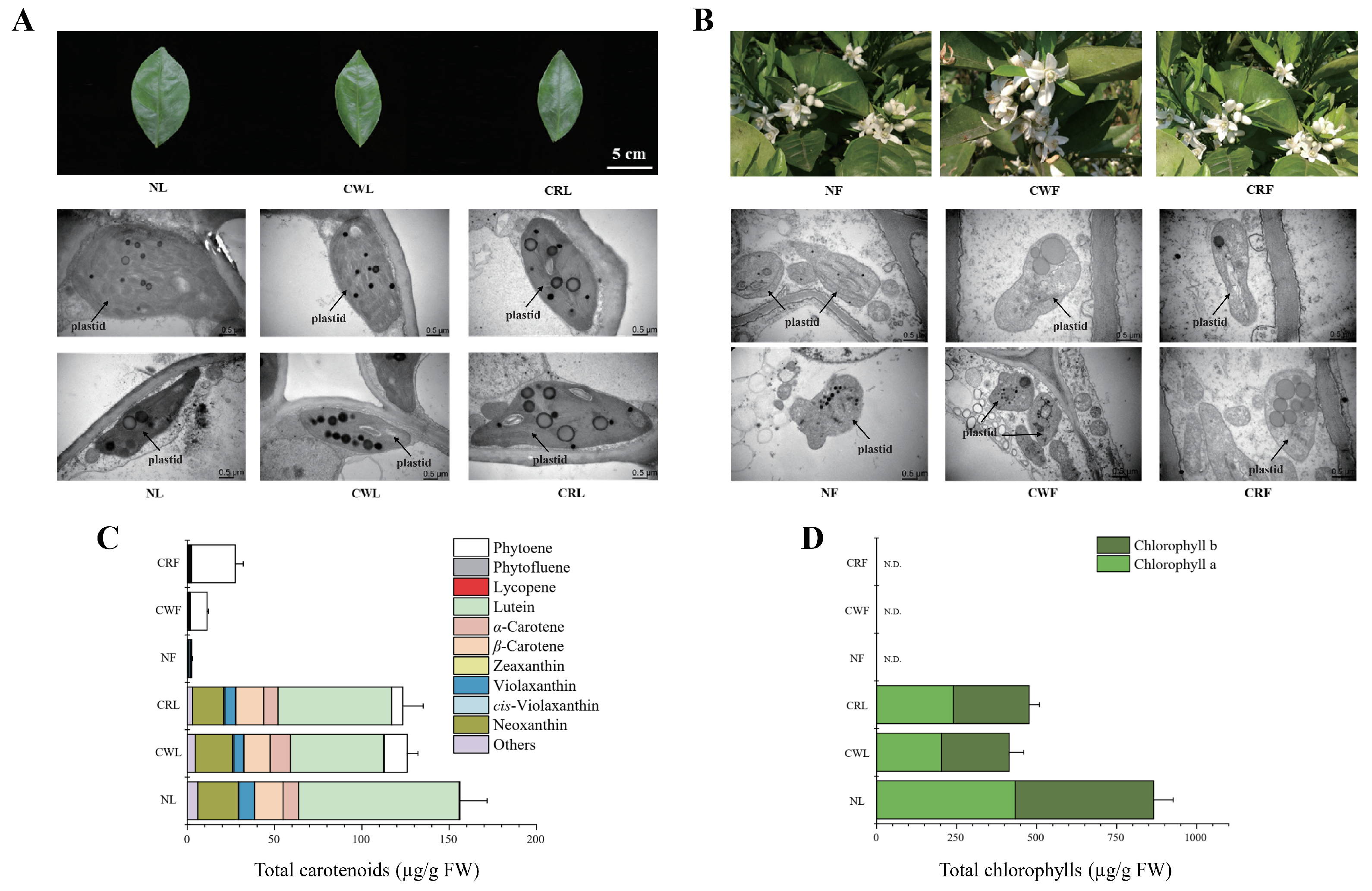 Metabolites 15 00610 g004 Metabolites 15 00610 g004