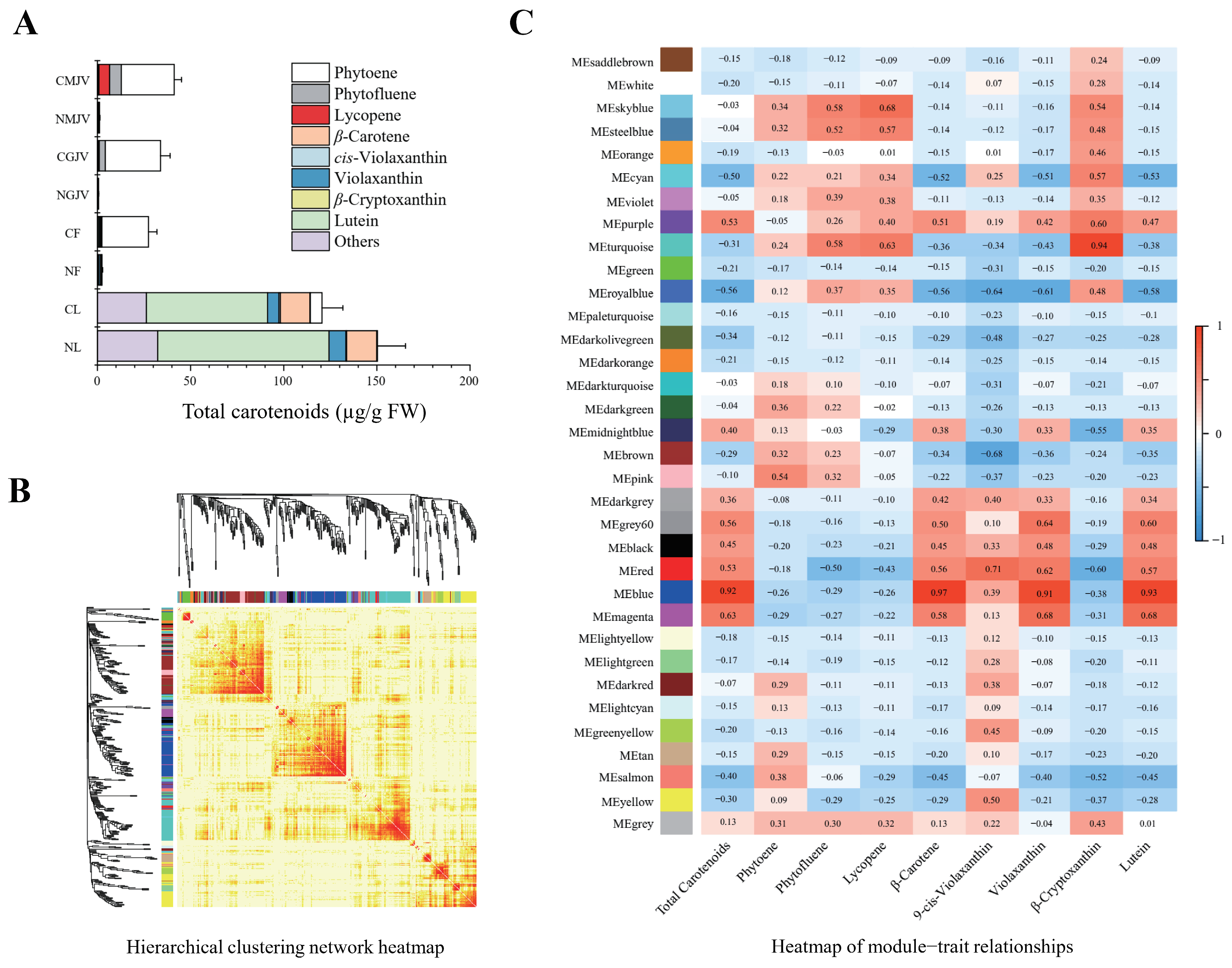Metabolites 15 00610 g008 Metabolites 15 00610 g008
