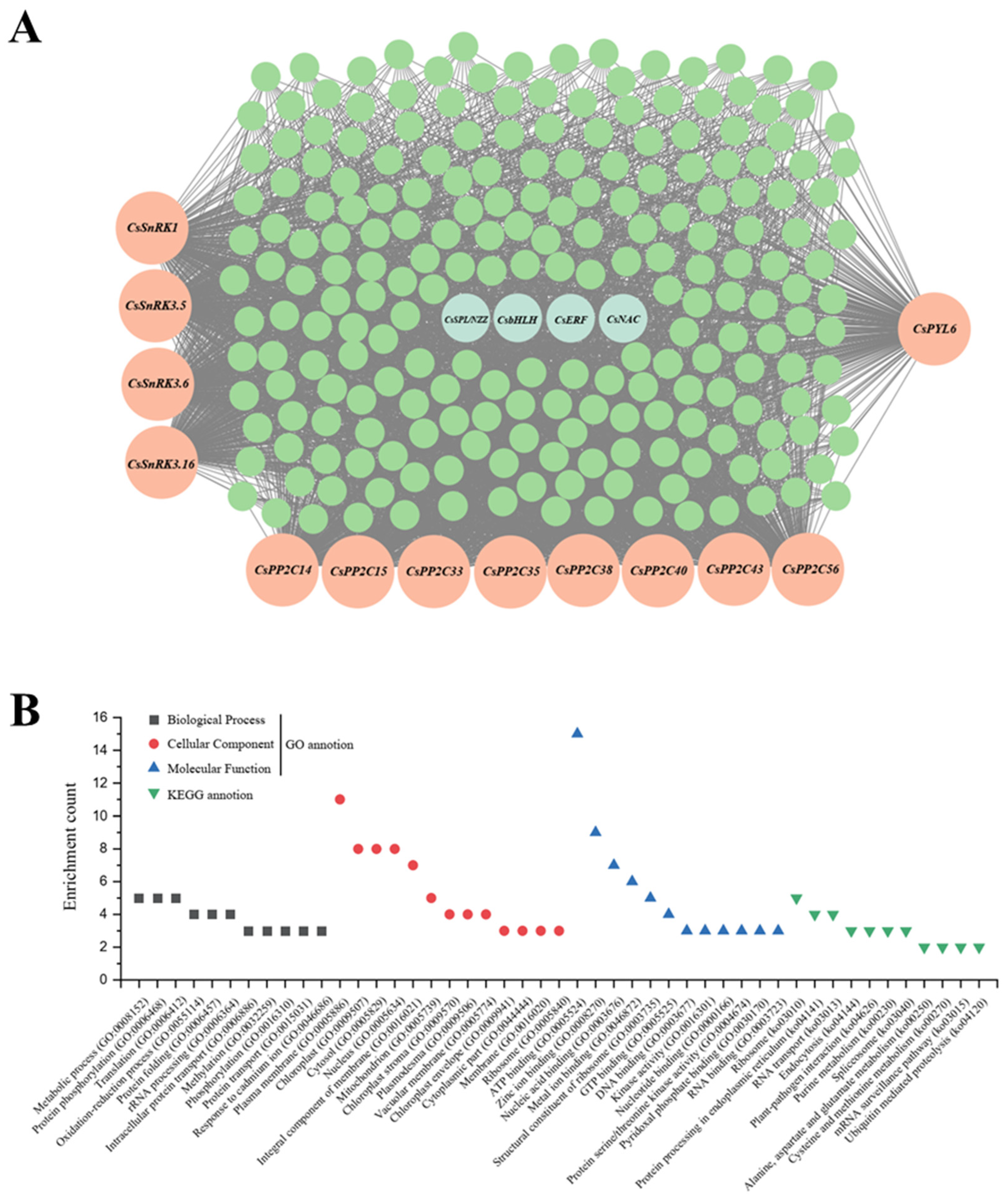 Metabolites 15 00610 g009 Metabolites 15 00610 g009