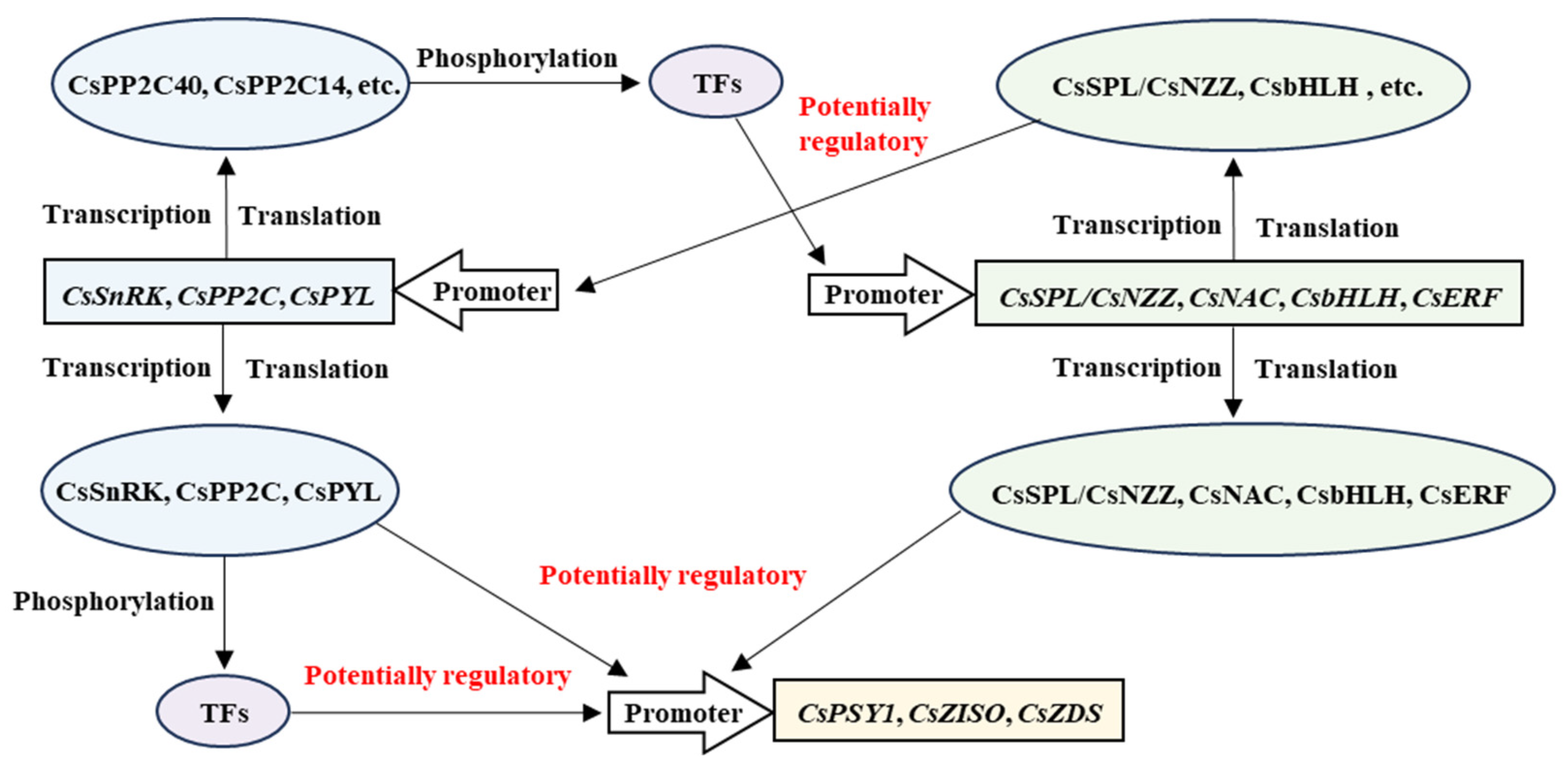 Metabolites 15 00610 g010 Metabolites 15 00610 g010