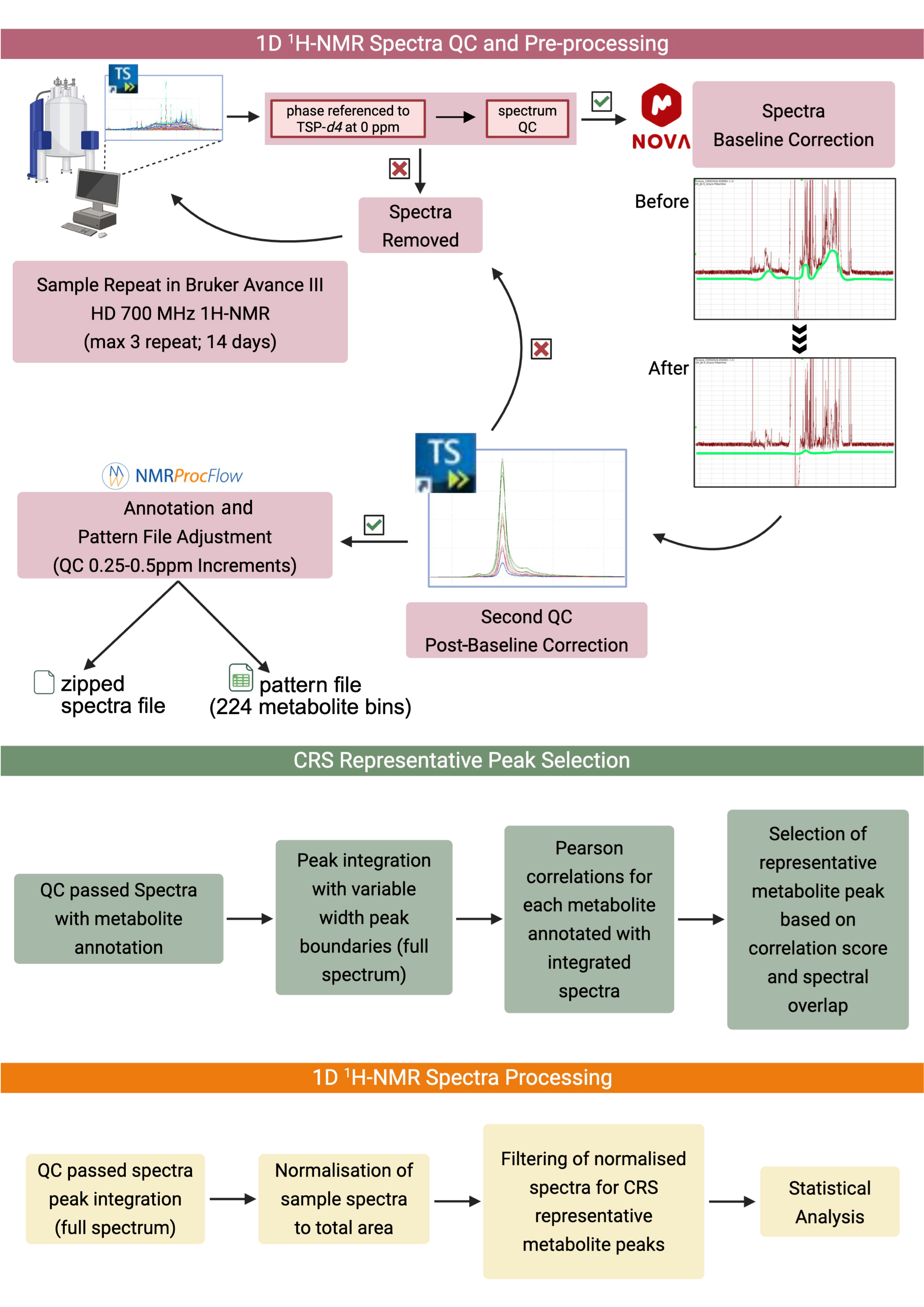 Metabolites 15 00612 g001