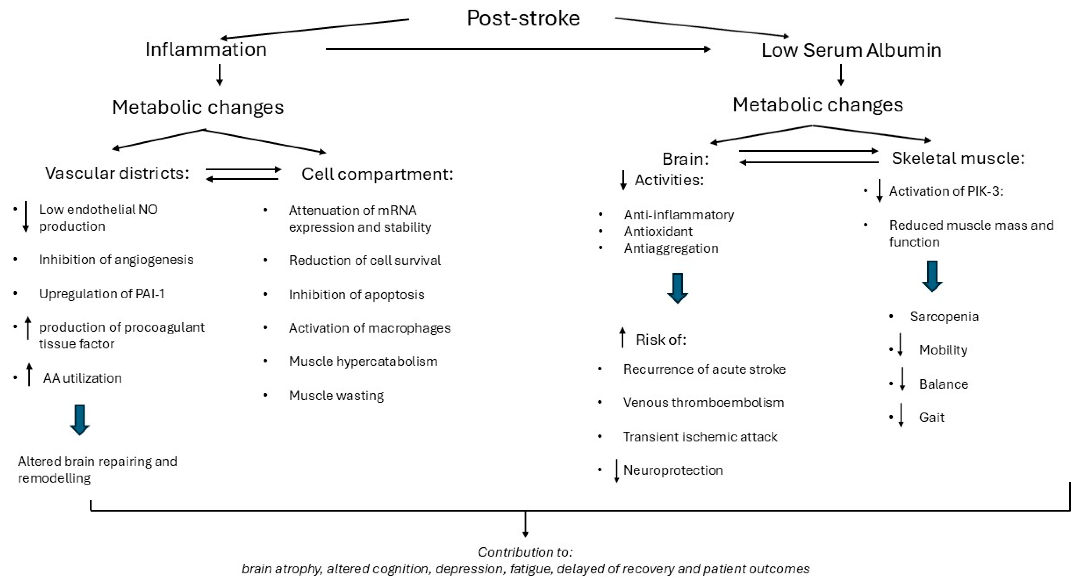 Metabolites 15 00626 g007