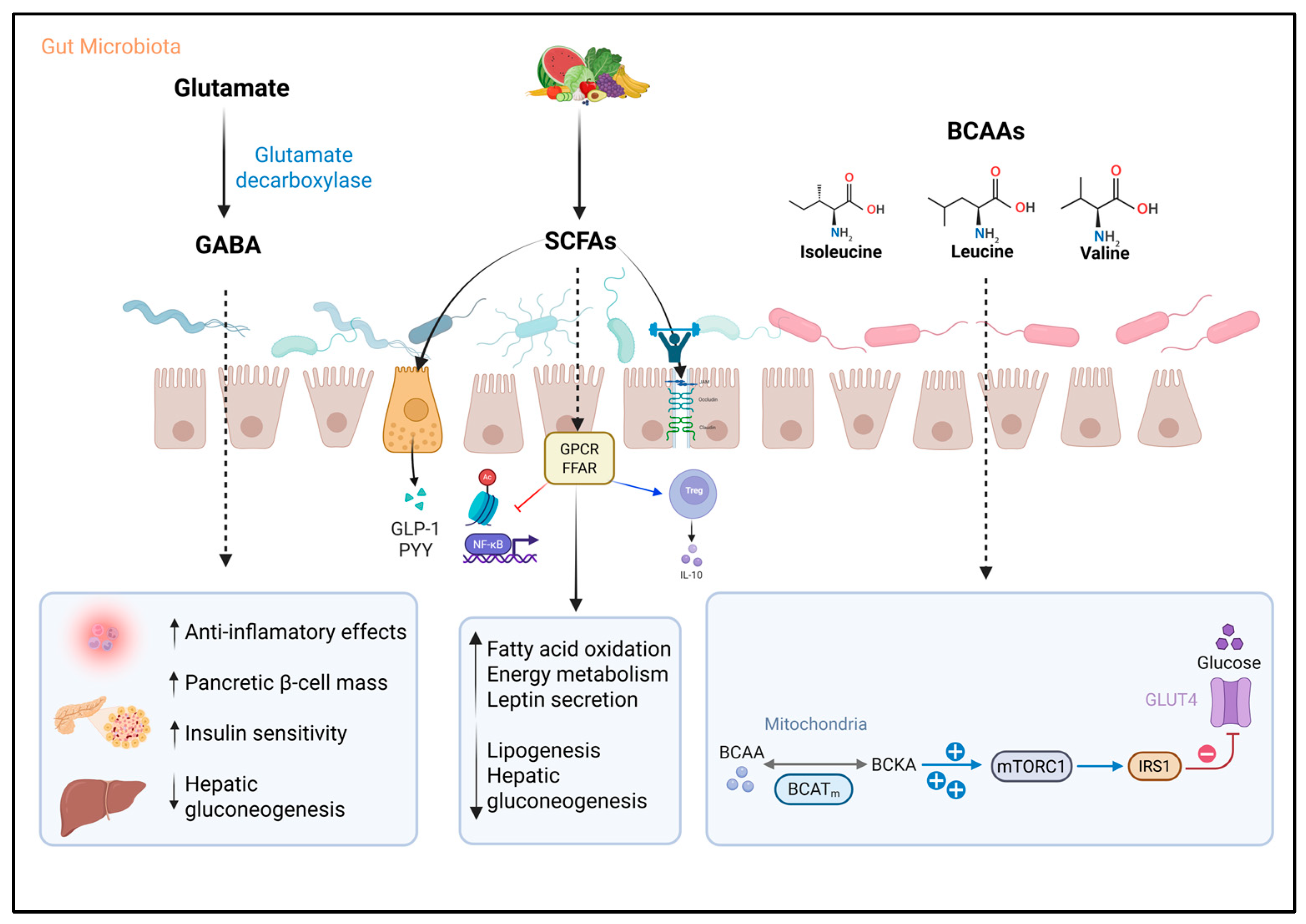 Metabolites 15 00627 g002