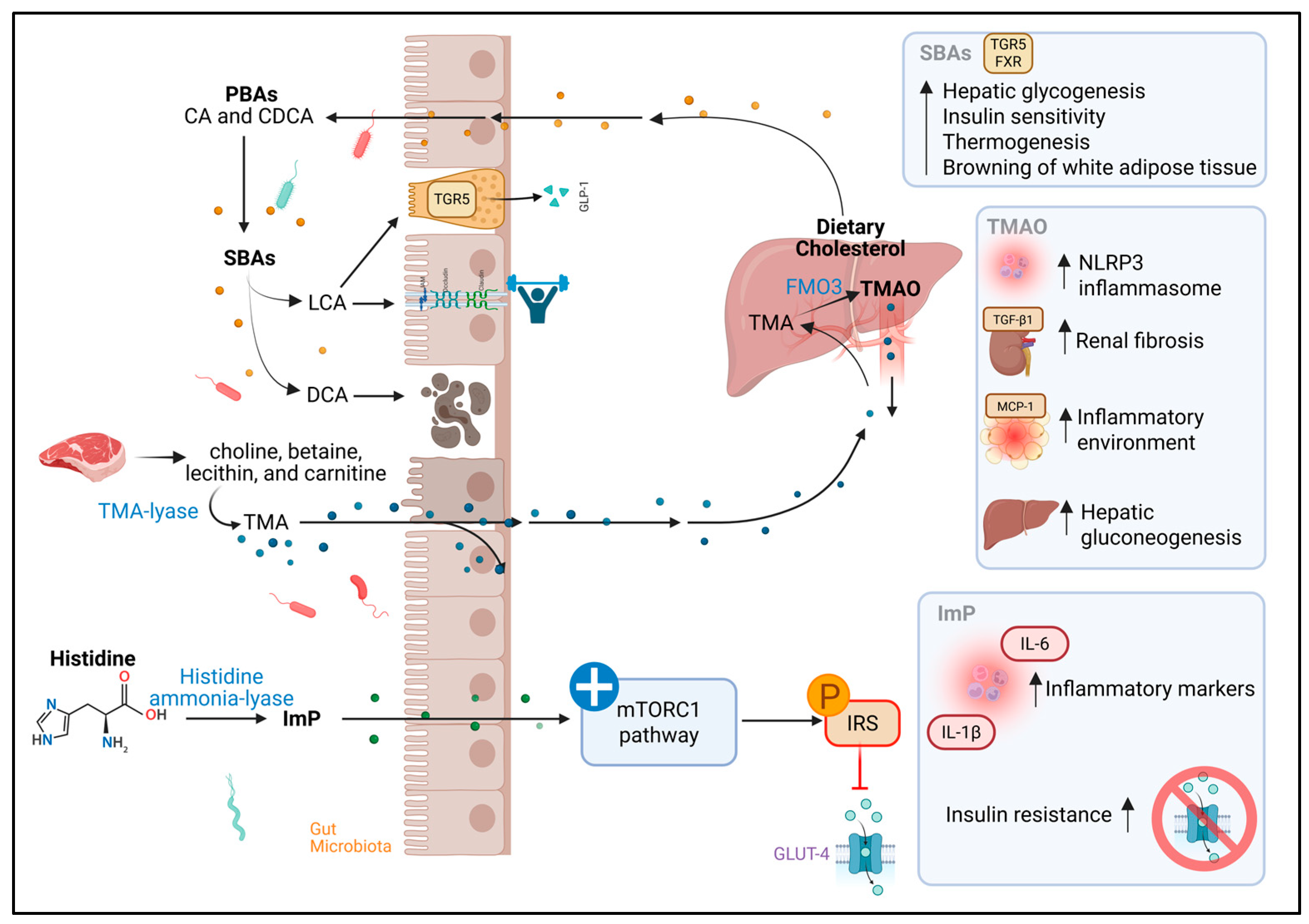 Metabolites 15 00627 g003