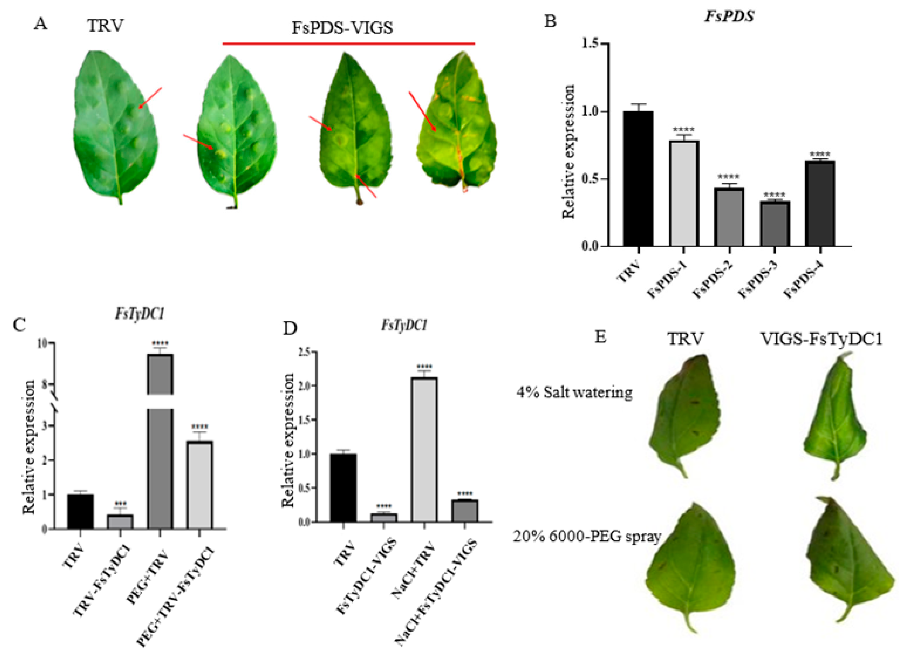 Metabolites 15 00628 g005