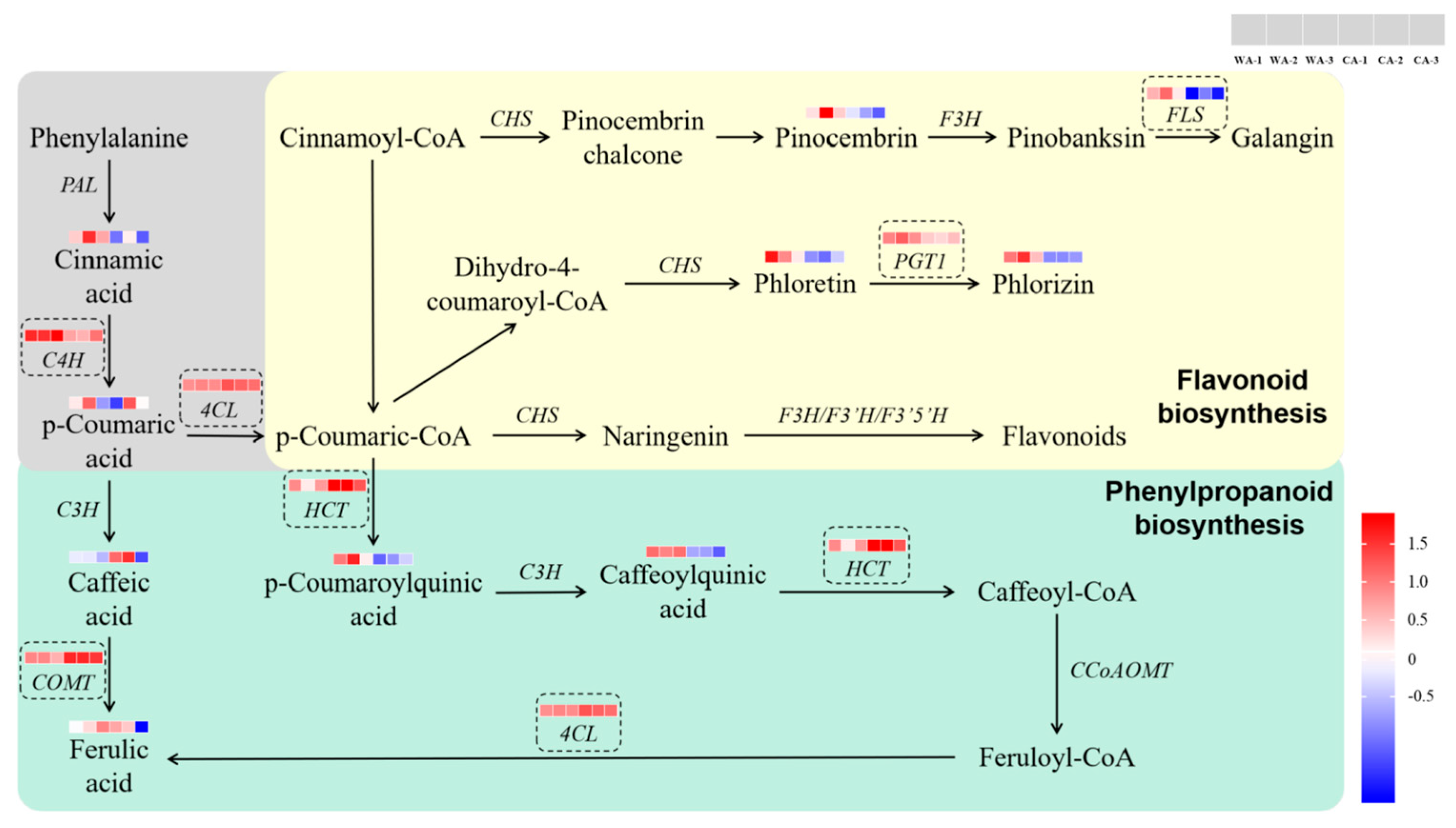 Metabolites 15 00633 g012