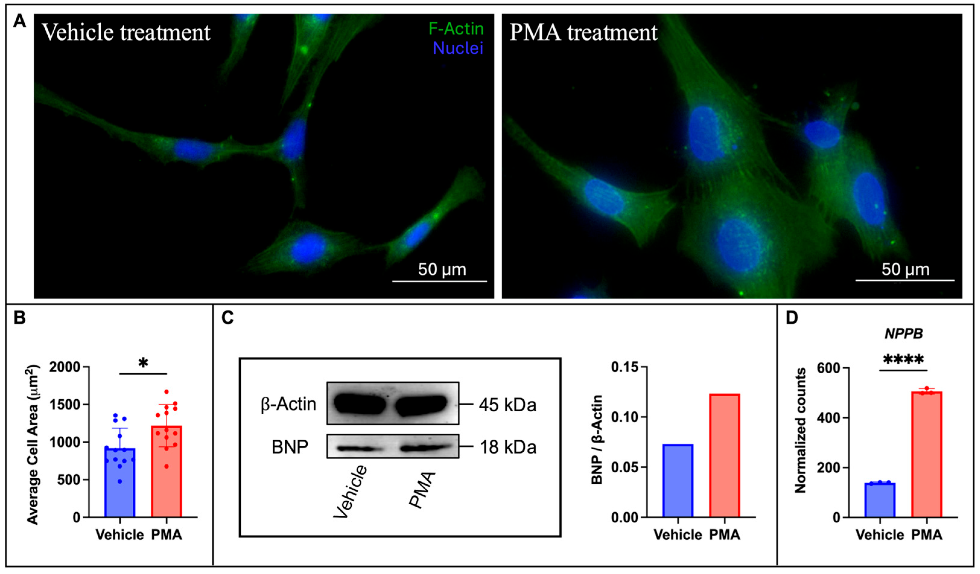 Metabolites 15 00635 g001