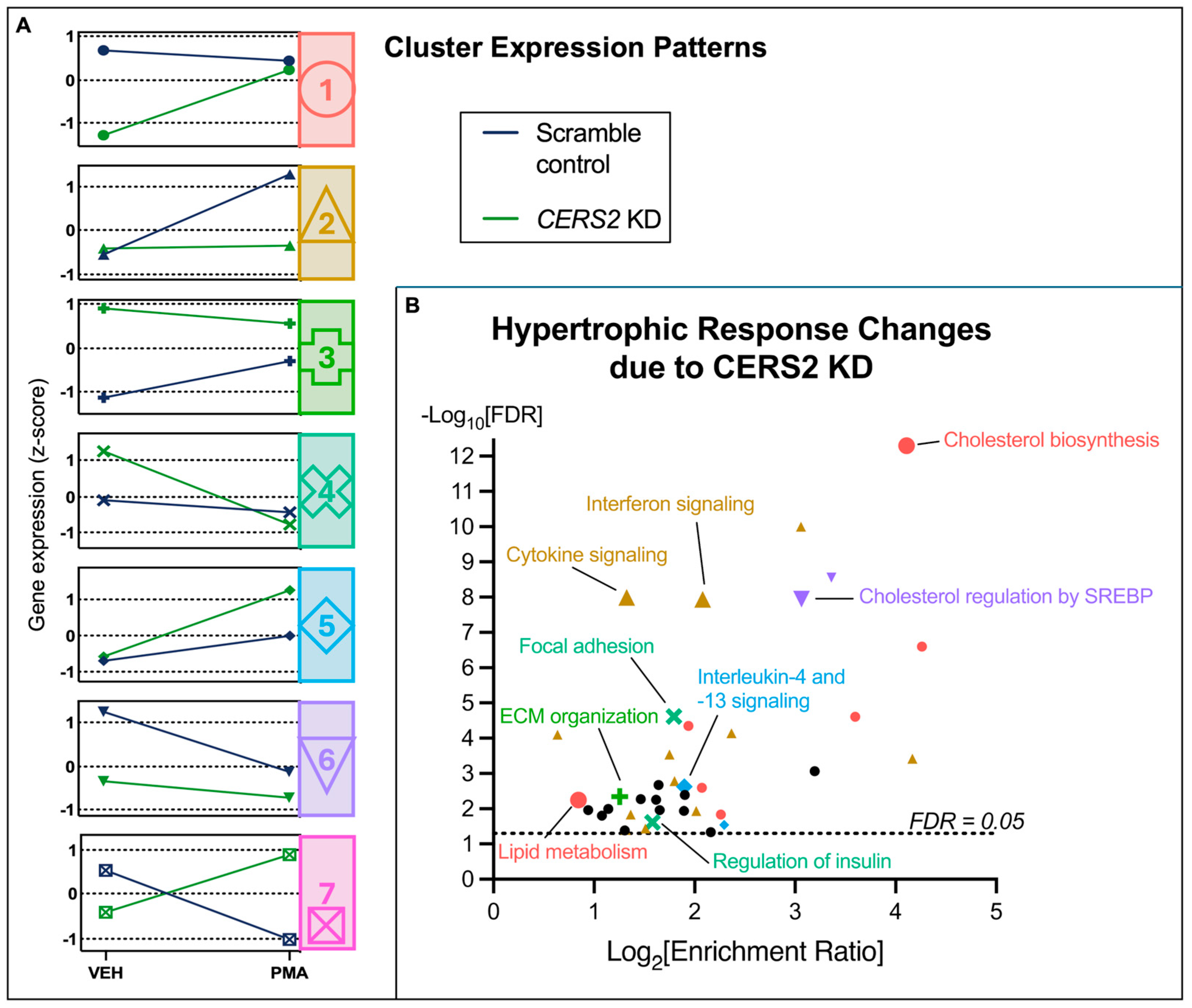 Metabolites 15 00635 g005