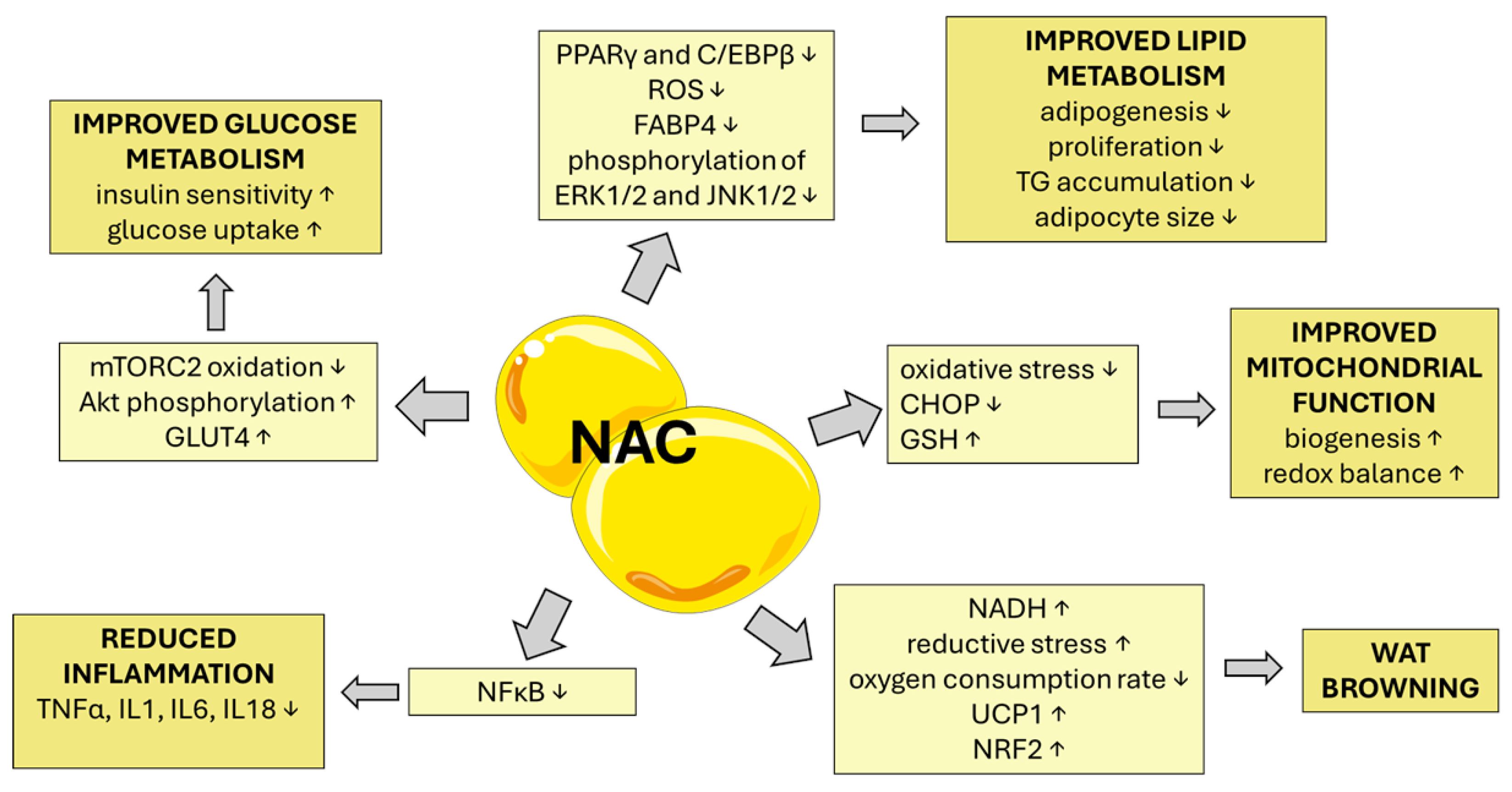 Metabolites 15 00645 g002