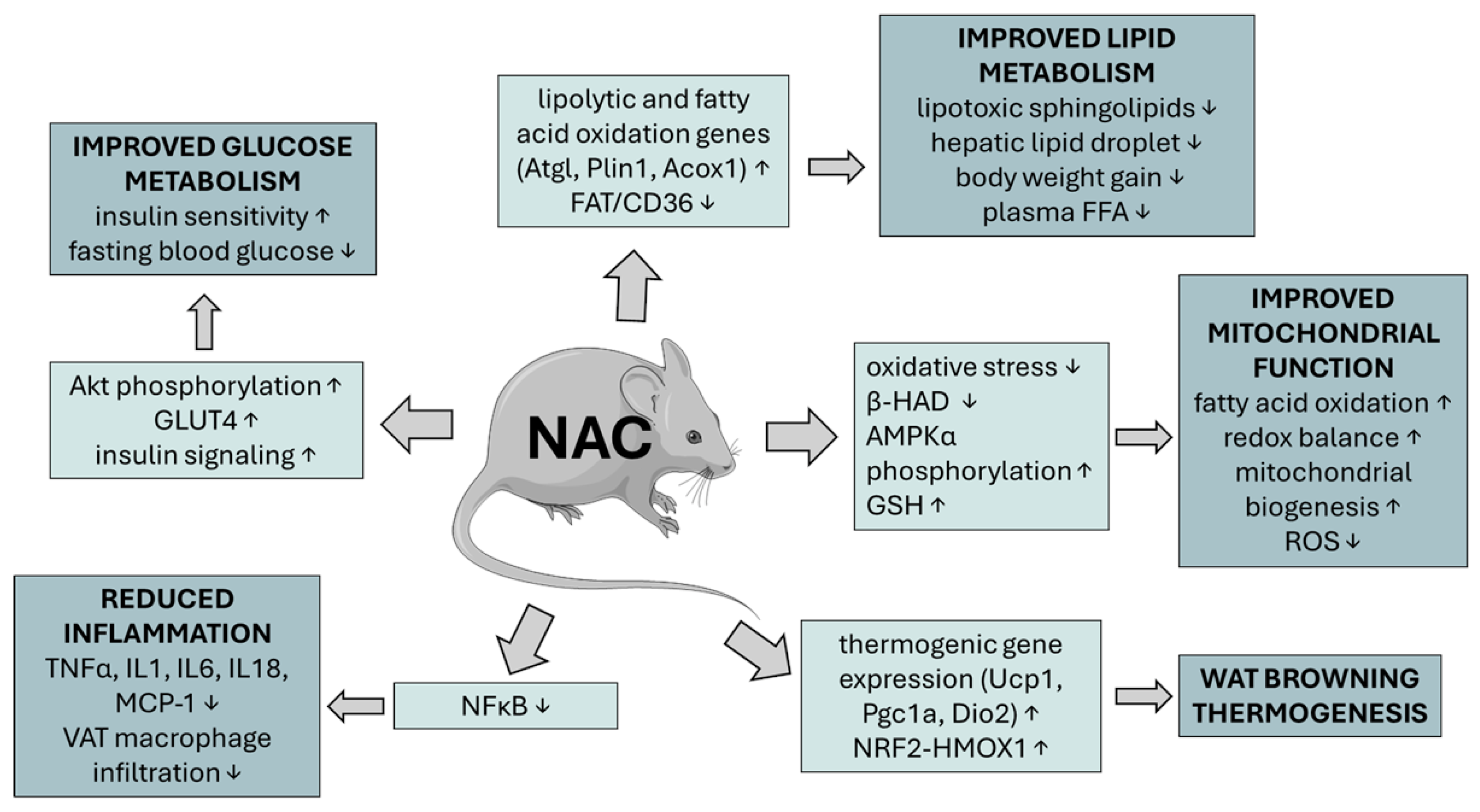 Metabolites 15 00645 g003