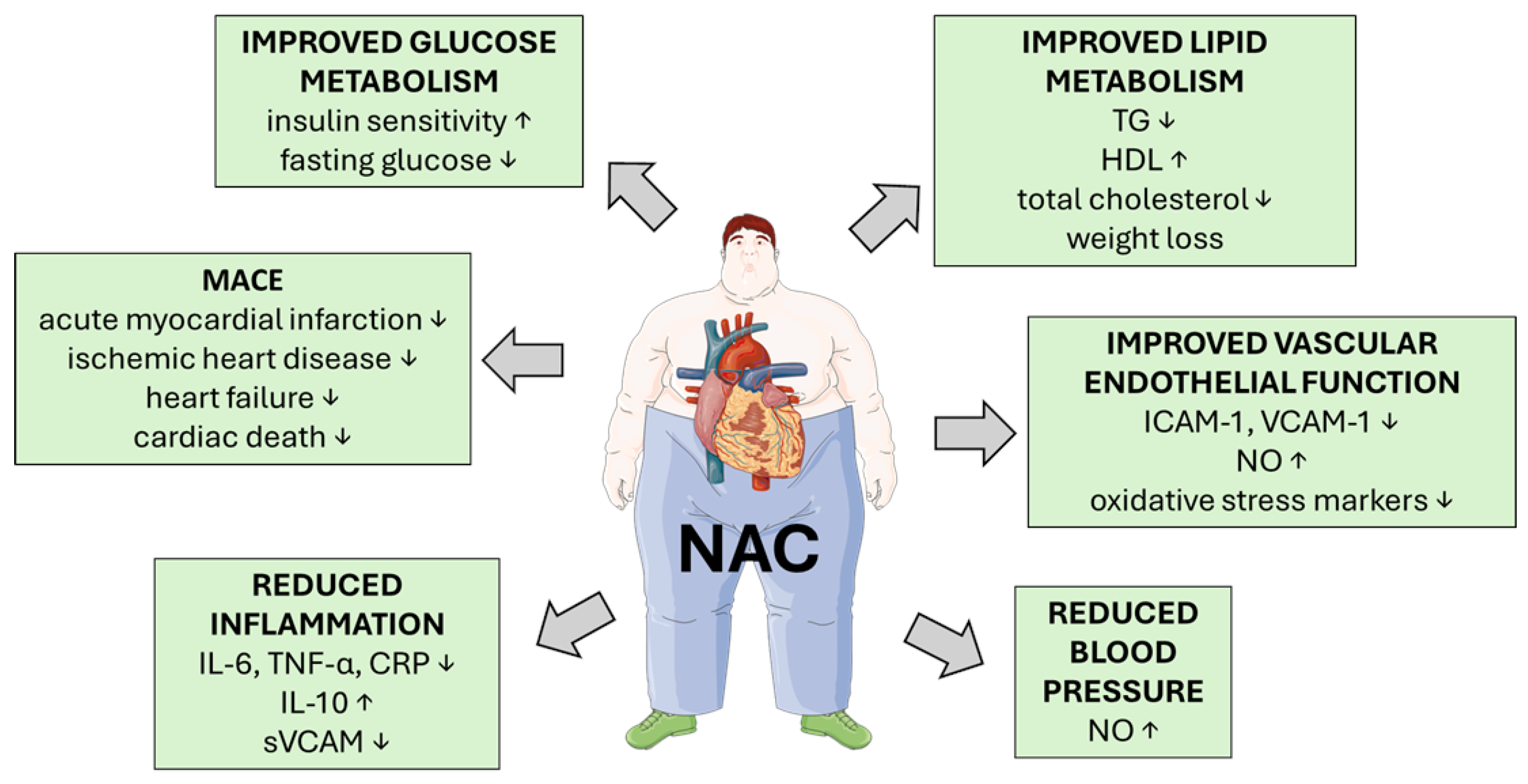 Metabolites 15 00645 g004