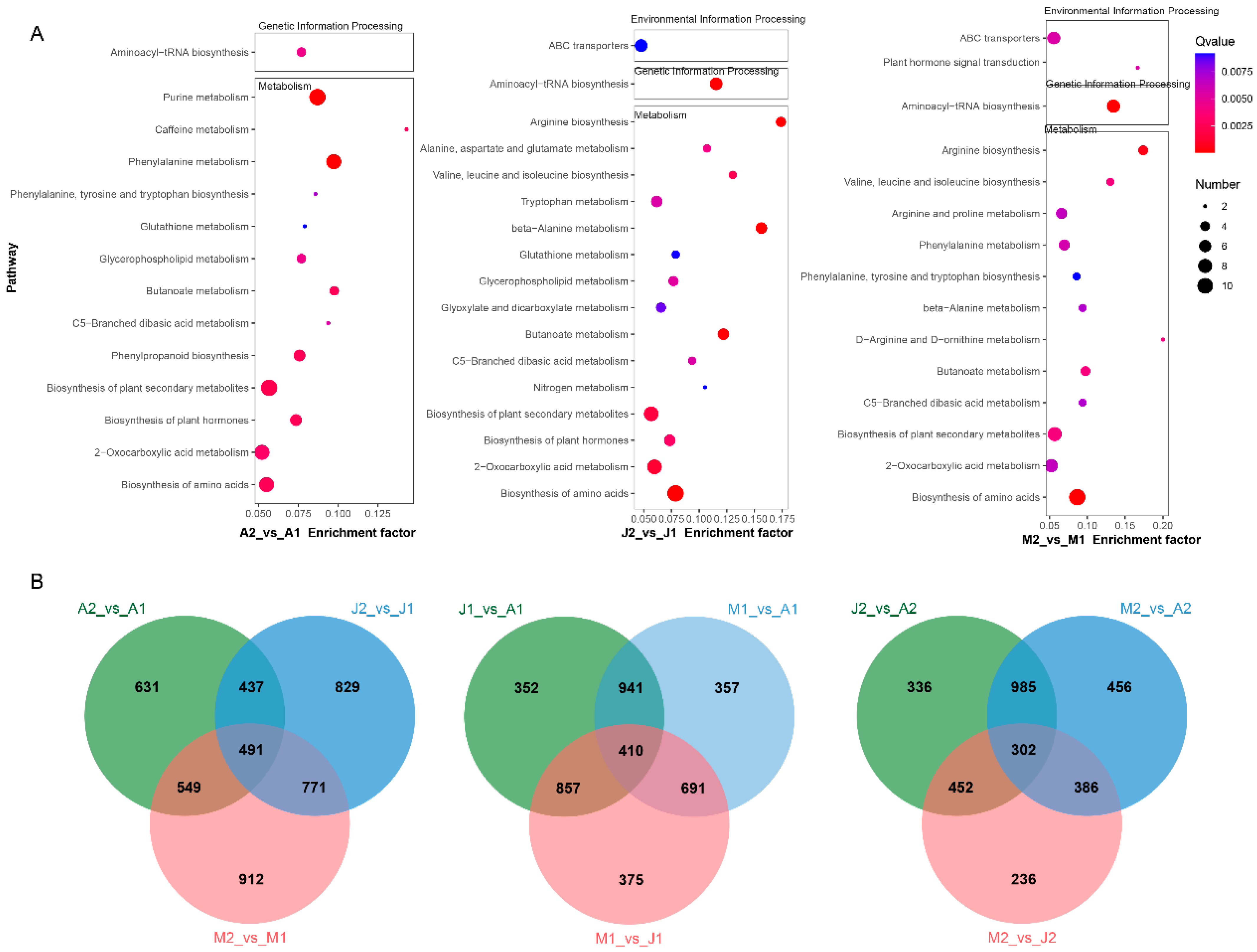 Metabolites 15 00648 g004 Metabolites 15 00648 g004