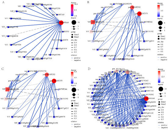 ヤマト 宇宙戦艦ヤマト2202：ヤマトが超合金魂に 波動砲ギミック 小野