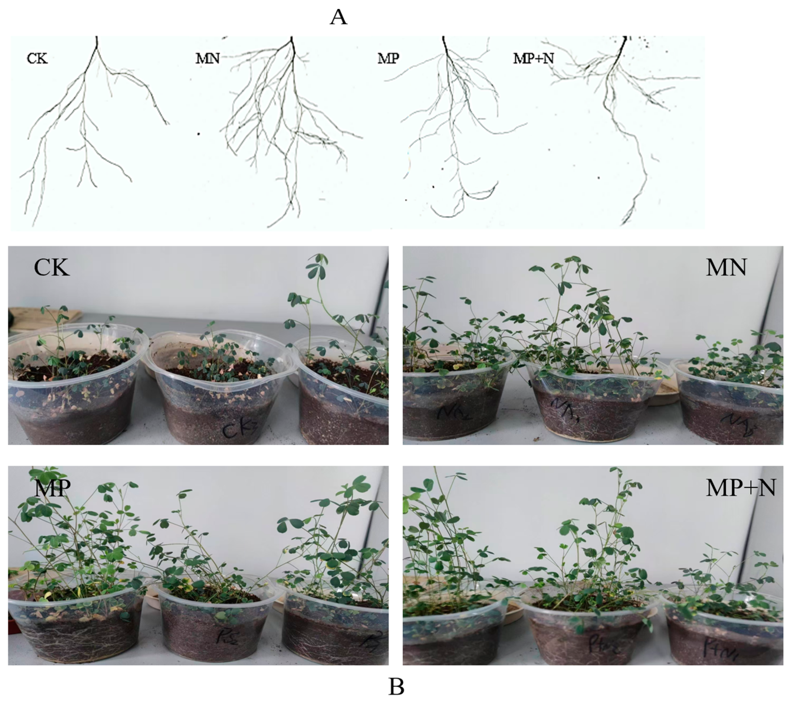 Metabolites 15 00652 g001 Metabolites 15 00652 g001