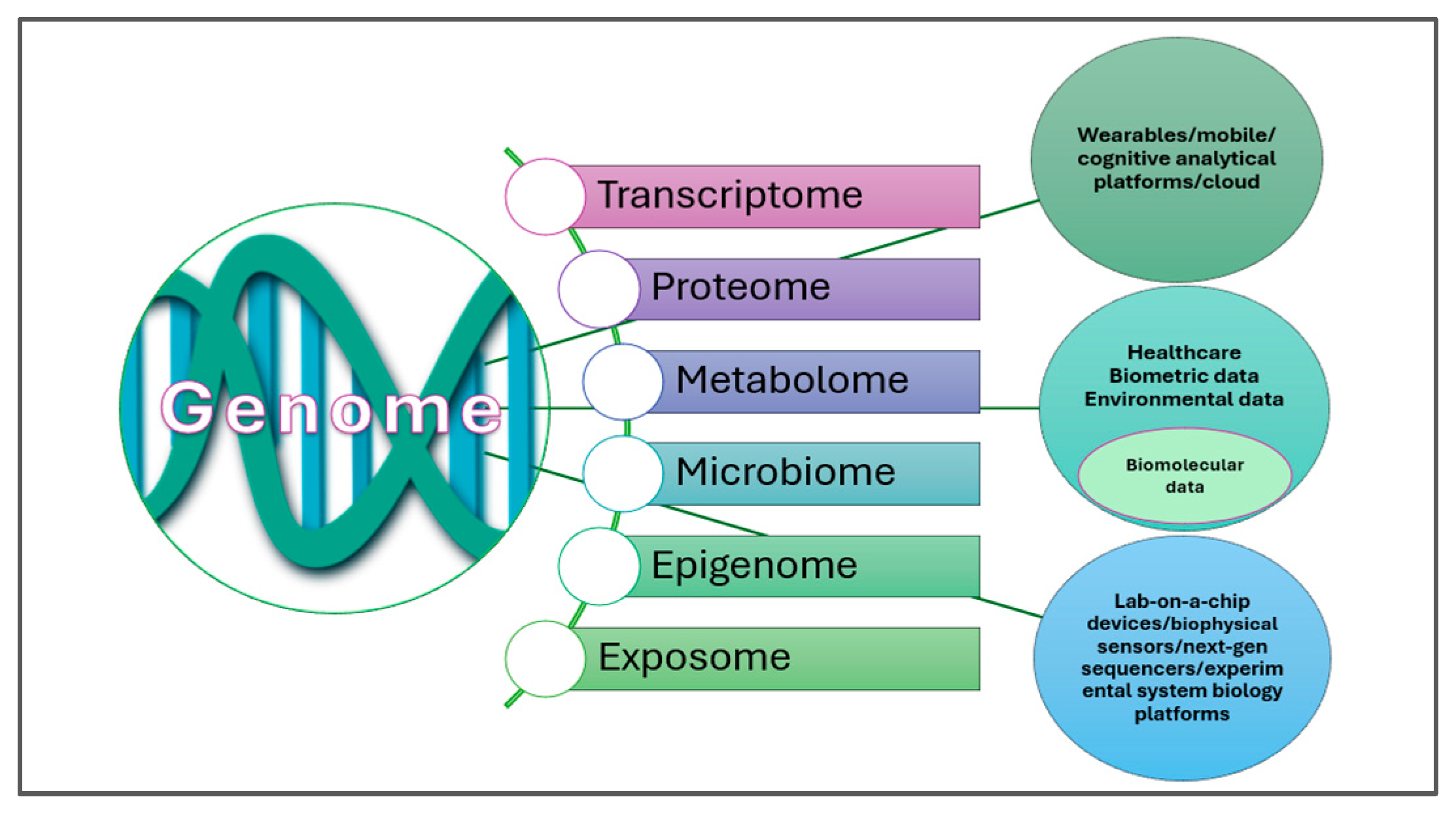 Metabolites 15 00653 g002 Metabolites 15 00653 g002