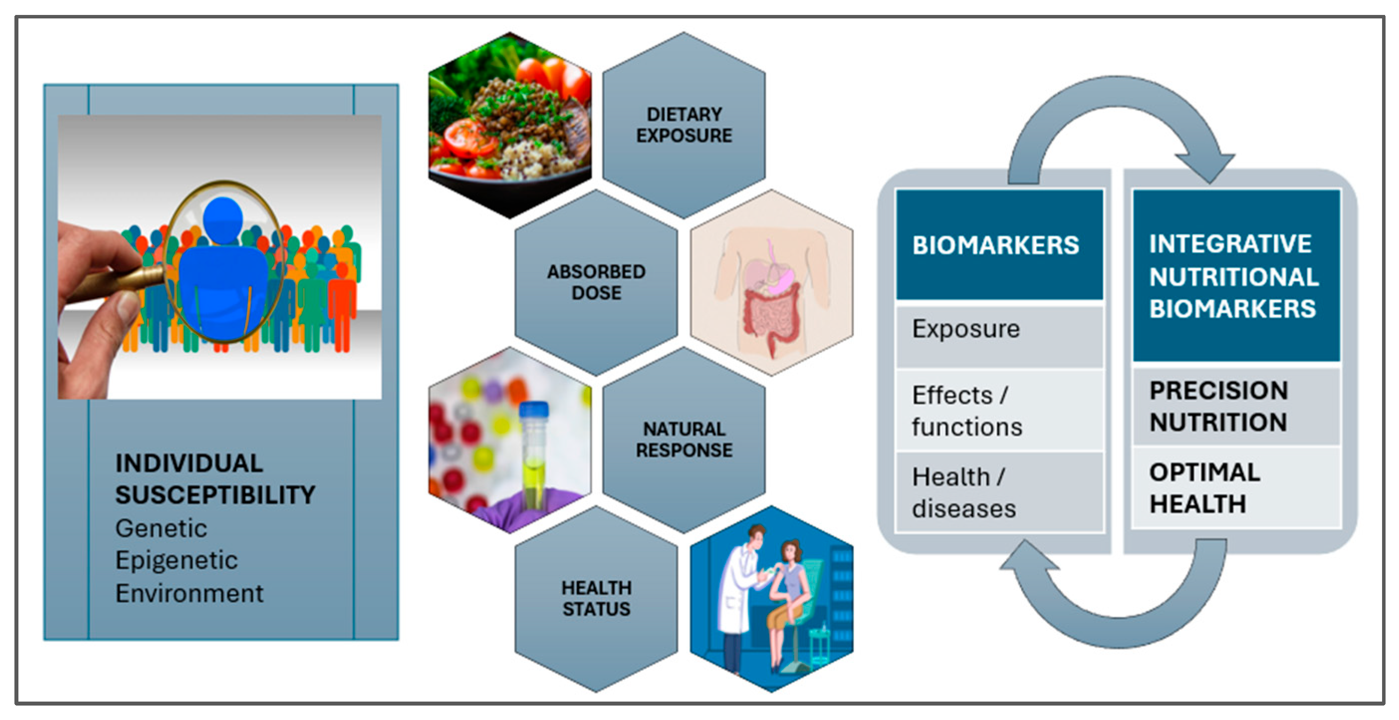 Metabolites 15 00653 g004 Metabolites 15 00653 g004