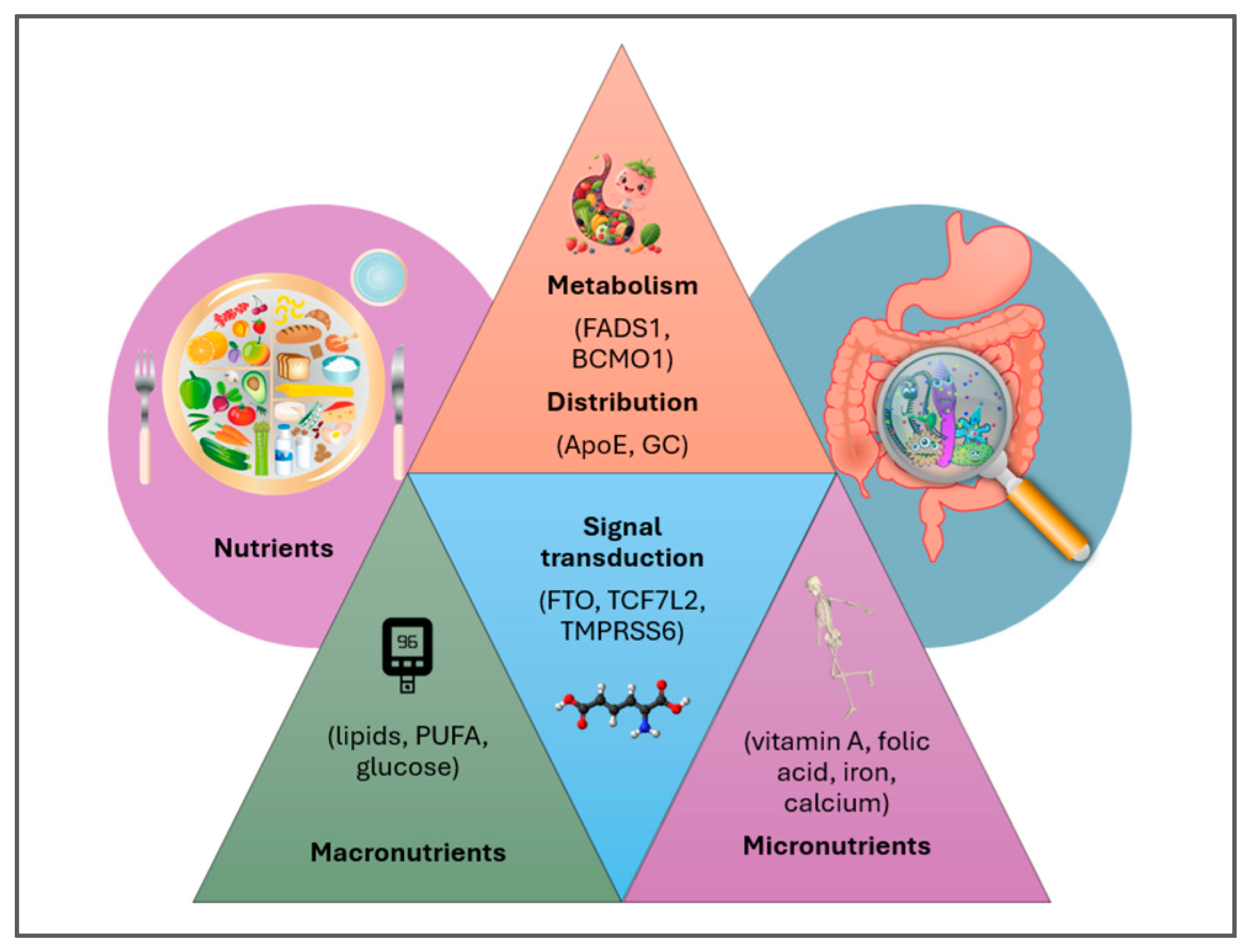 Metabolites 15 00653 g006 Metabolites 15 00653 g006
