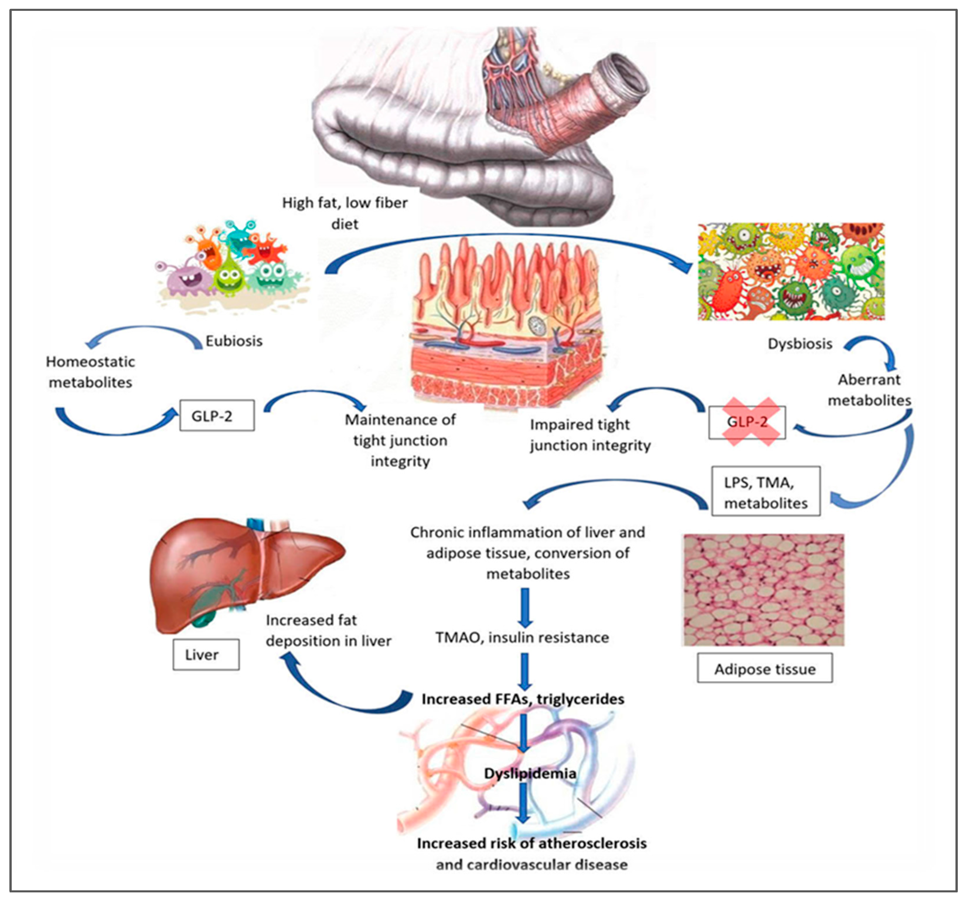 Metabolites 15 00653 g009 Metabolites 15 00653 g009