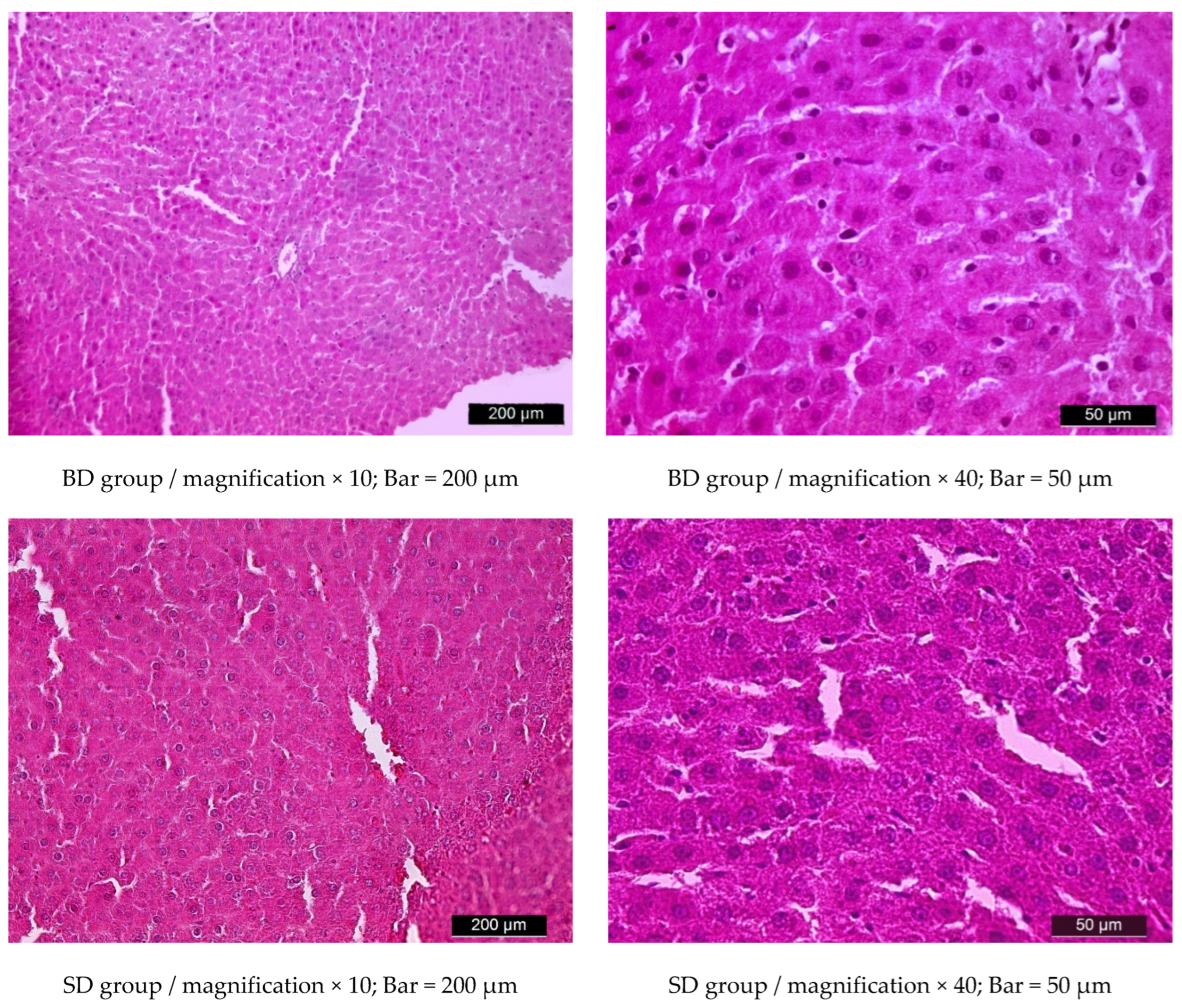 Metabolites 15 00656 g011 Metabolites 15 00656 g011