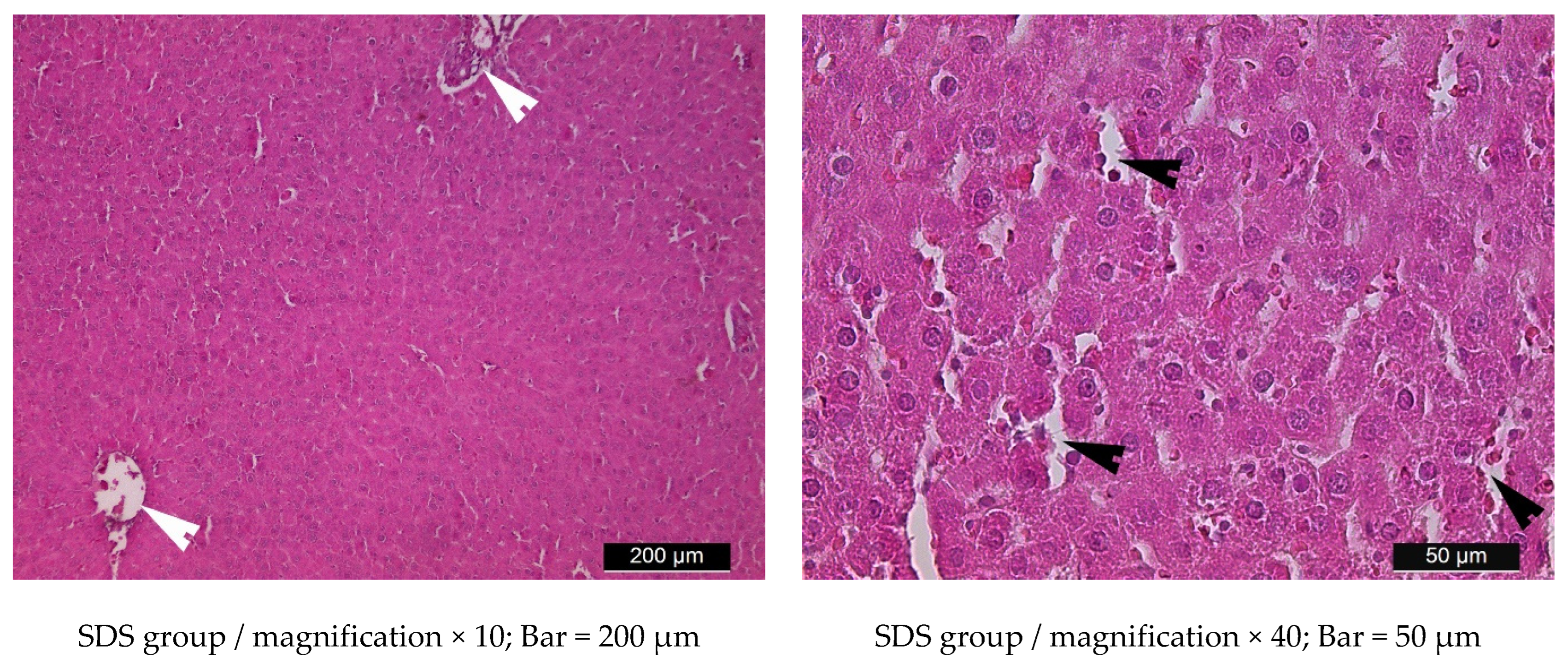 Metabolites 15 00656 g013a Metabolites 15 00656 g013a