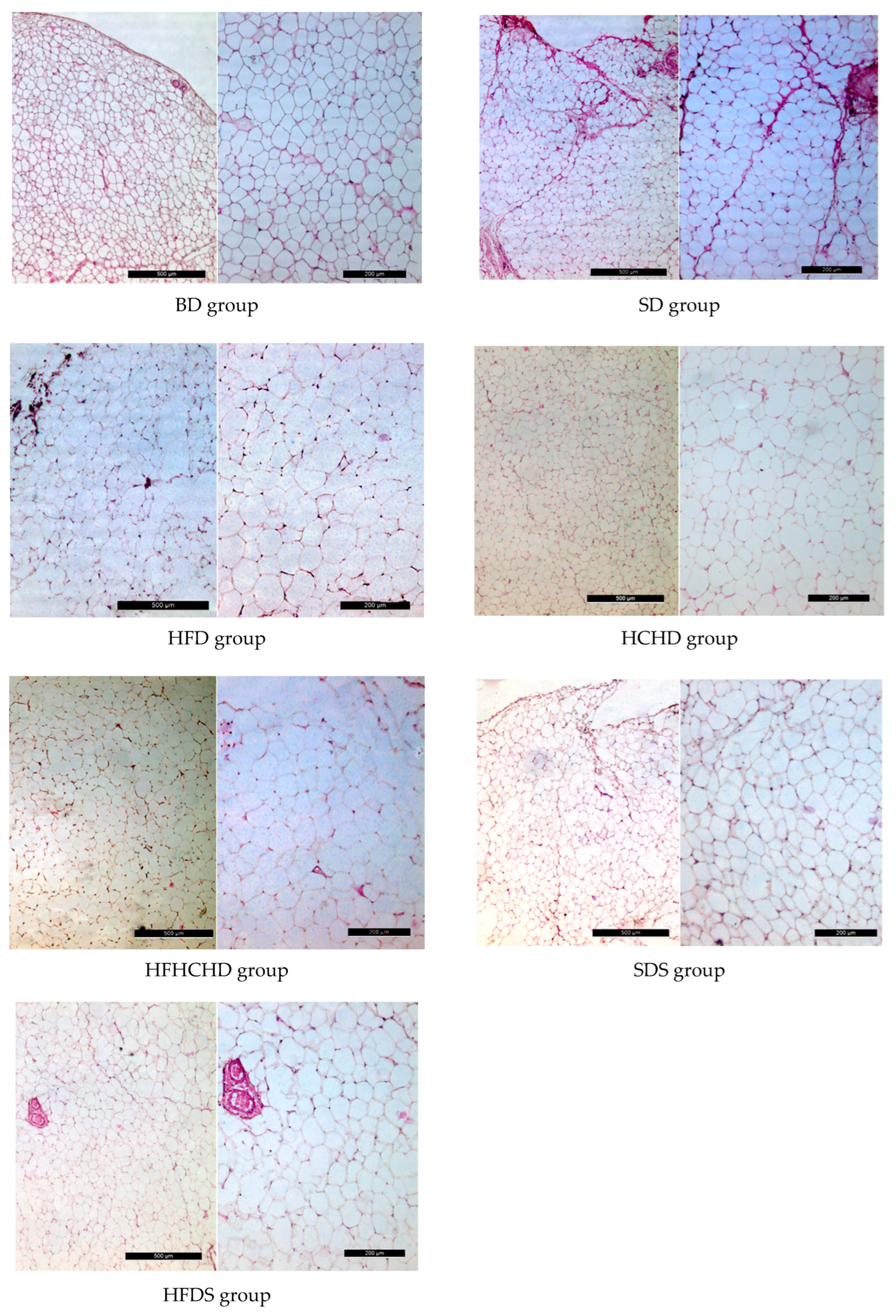 Metabolites 15 00656 g017 Metabolites 15 00656 g017