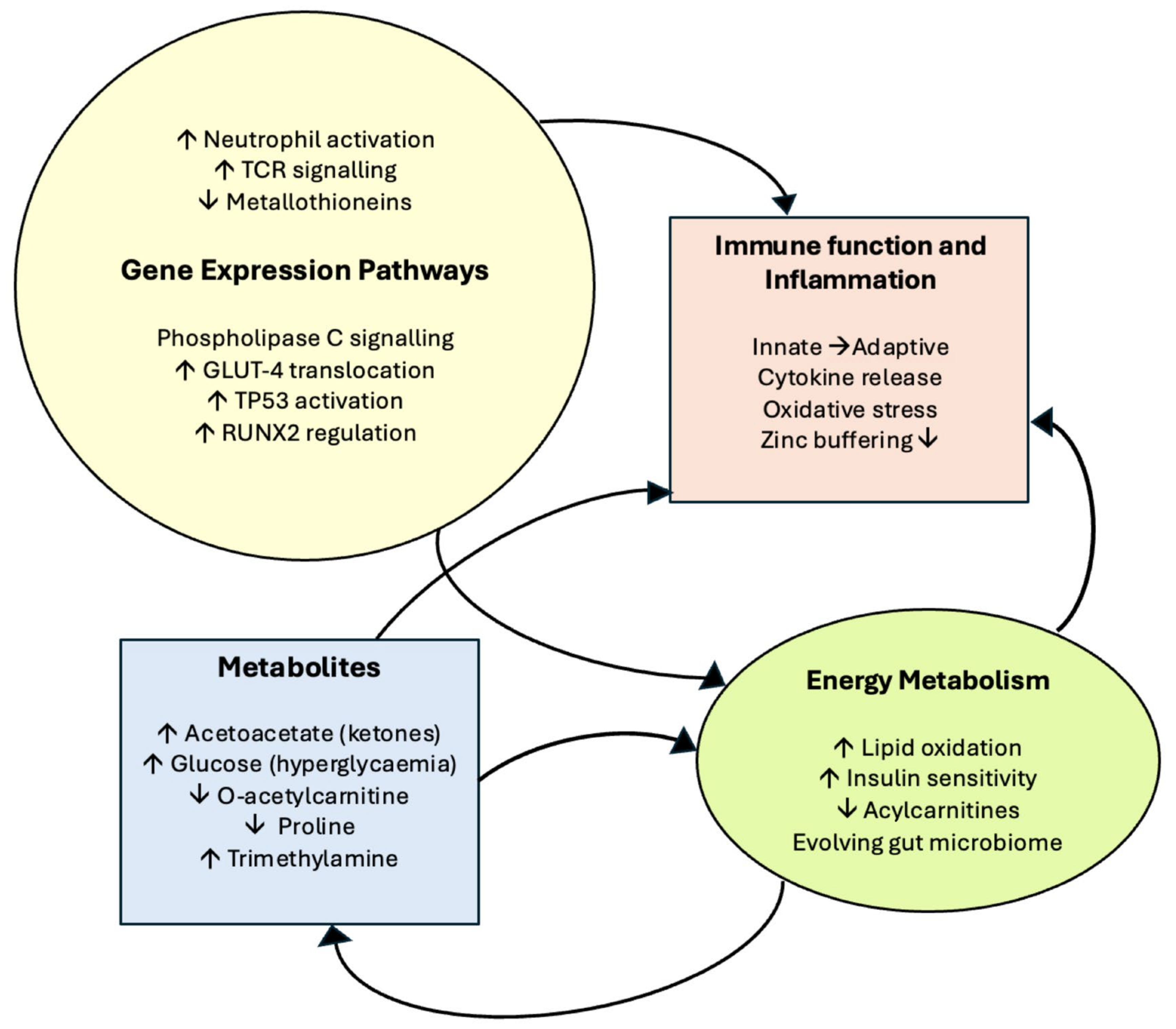 Metabolites 15 00659 g006