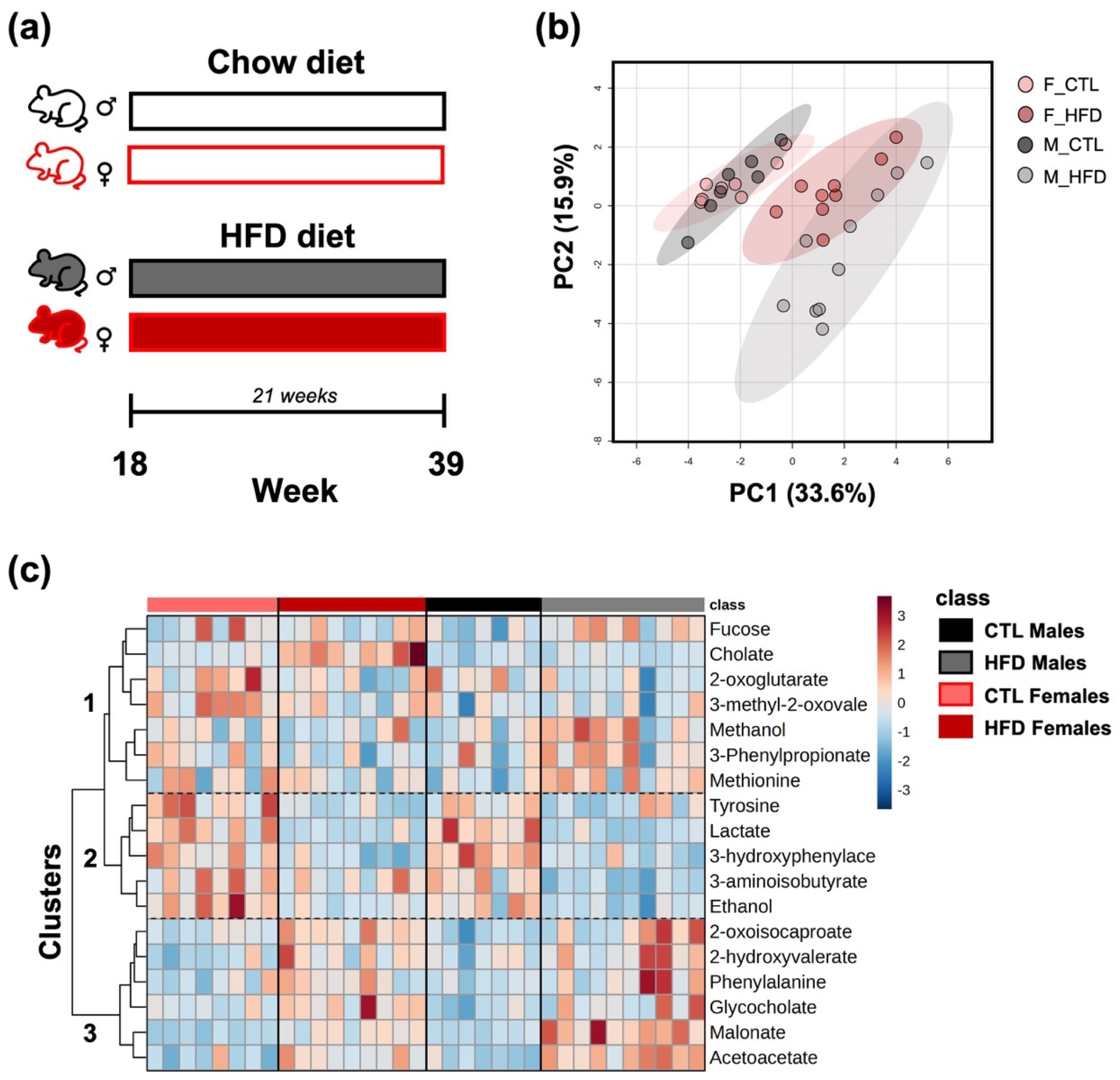 Metabolites 15 00660 g001 Metabolites 15 00660 g001