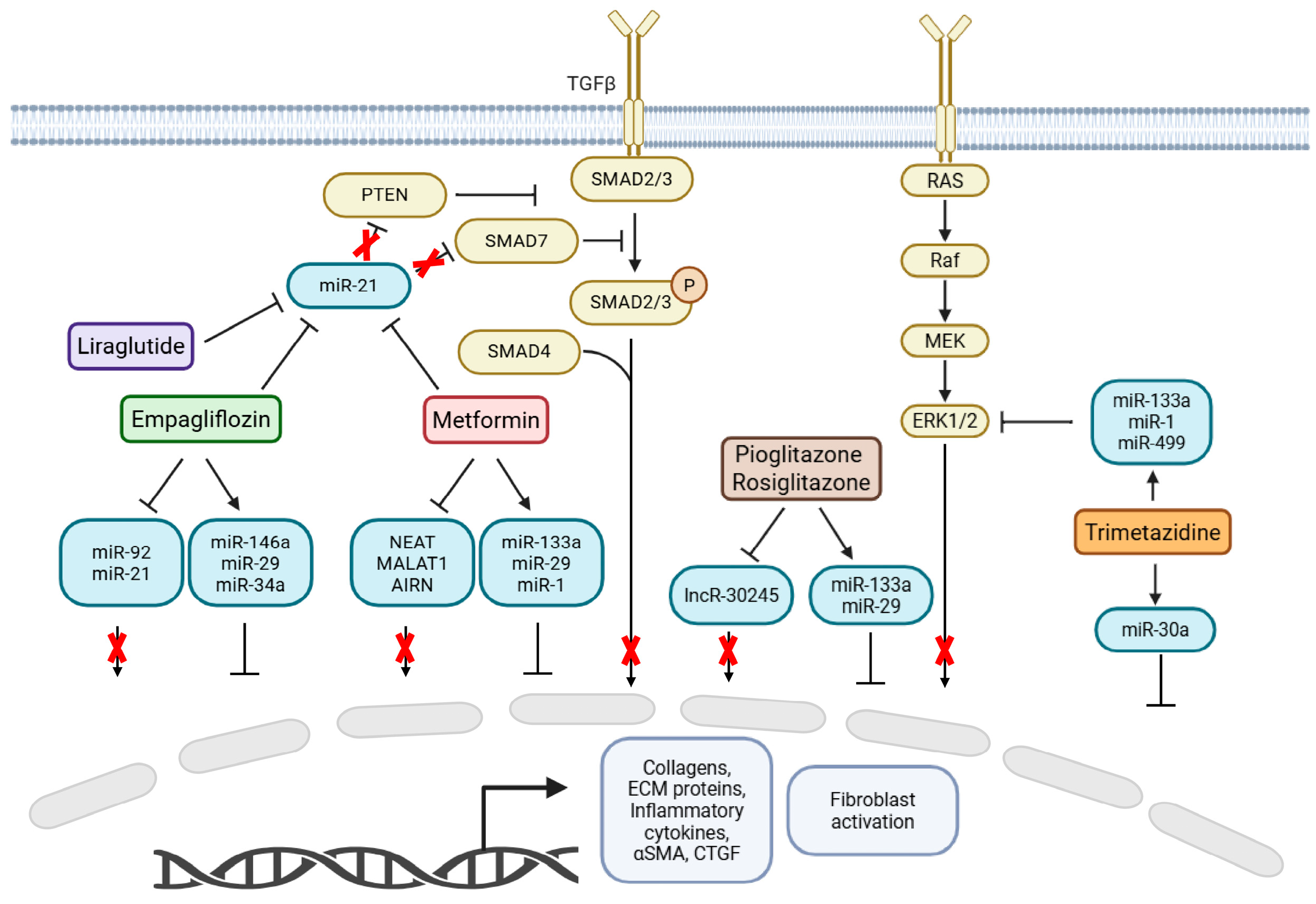 Metabolites 15 00664 g001